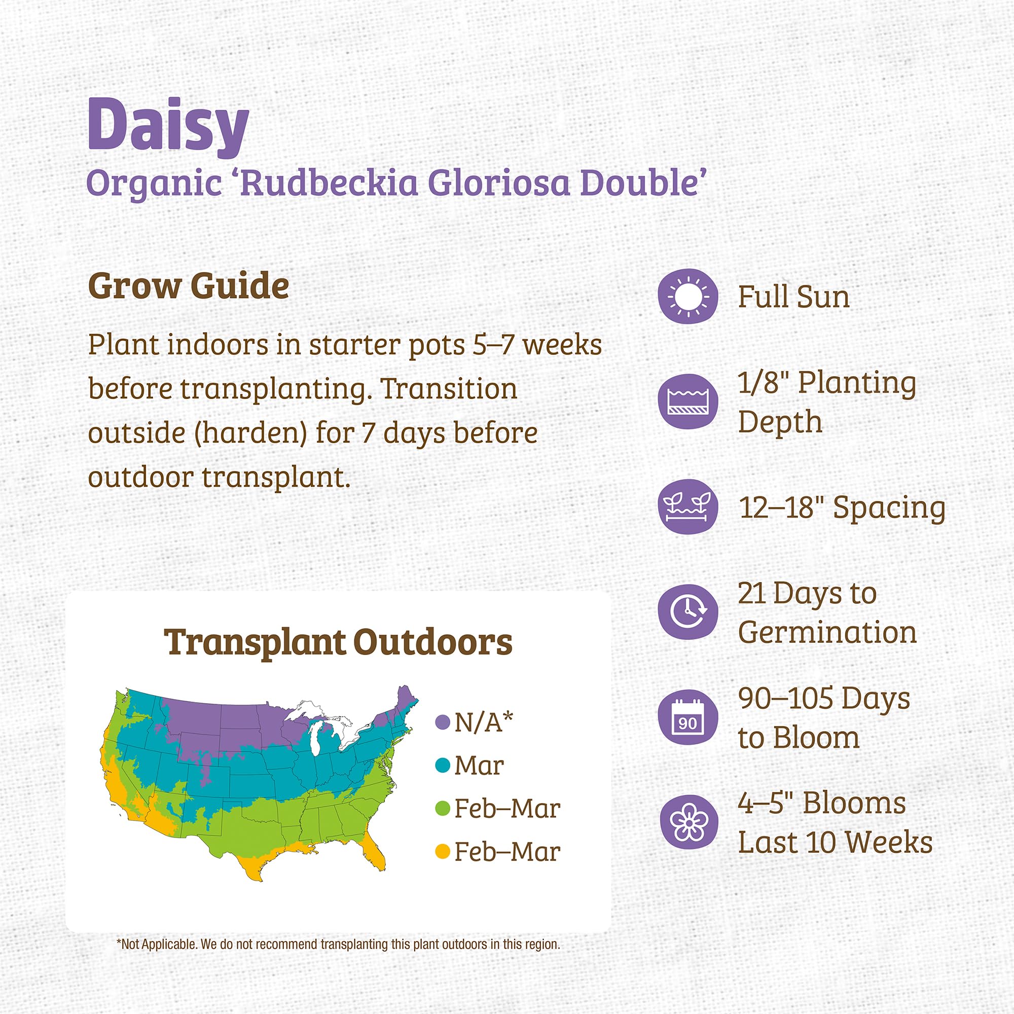 Back to The Roots 100% Organic Heirloom Seeds - Daisy Flower Value Pack (600mg Total) - Image 3