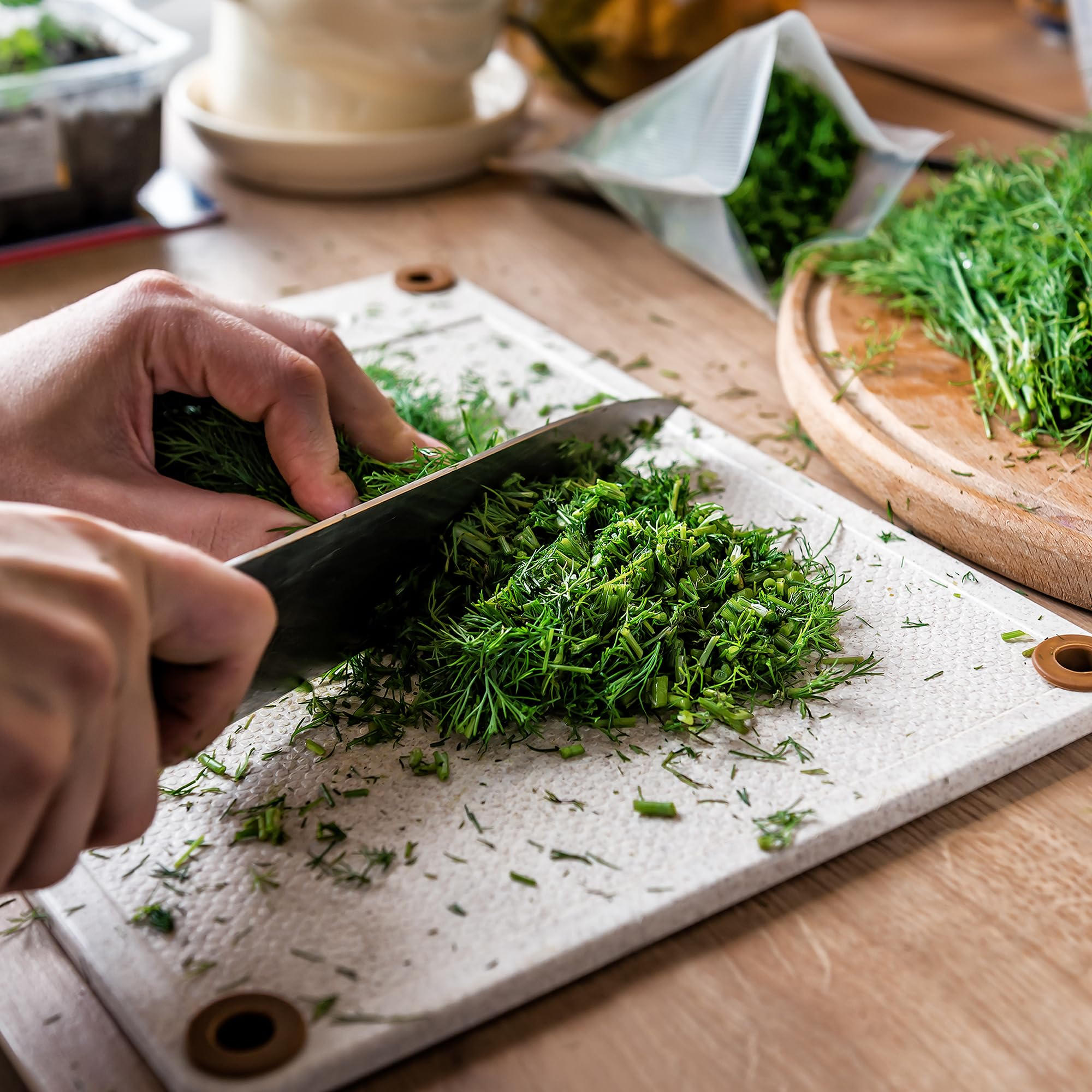 Back to The Roots 100% Organic Seed Packet - Dill 'Mammoth' 1g - Image 8
