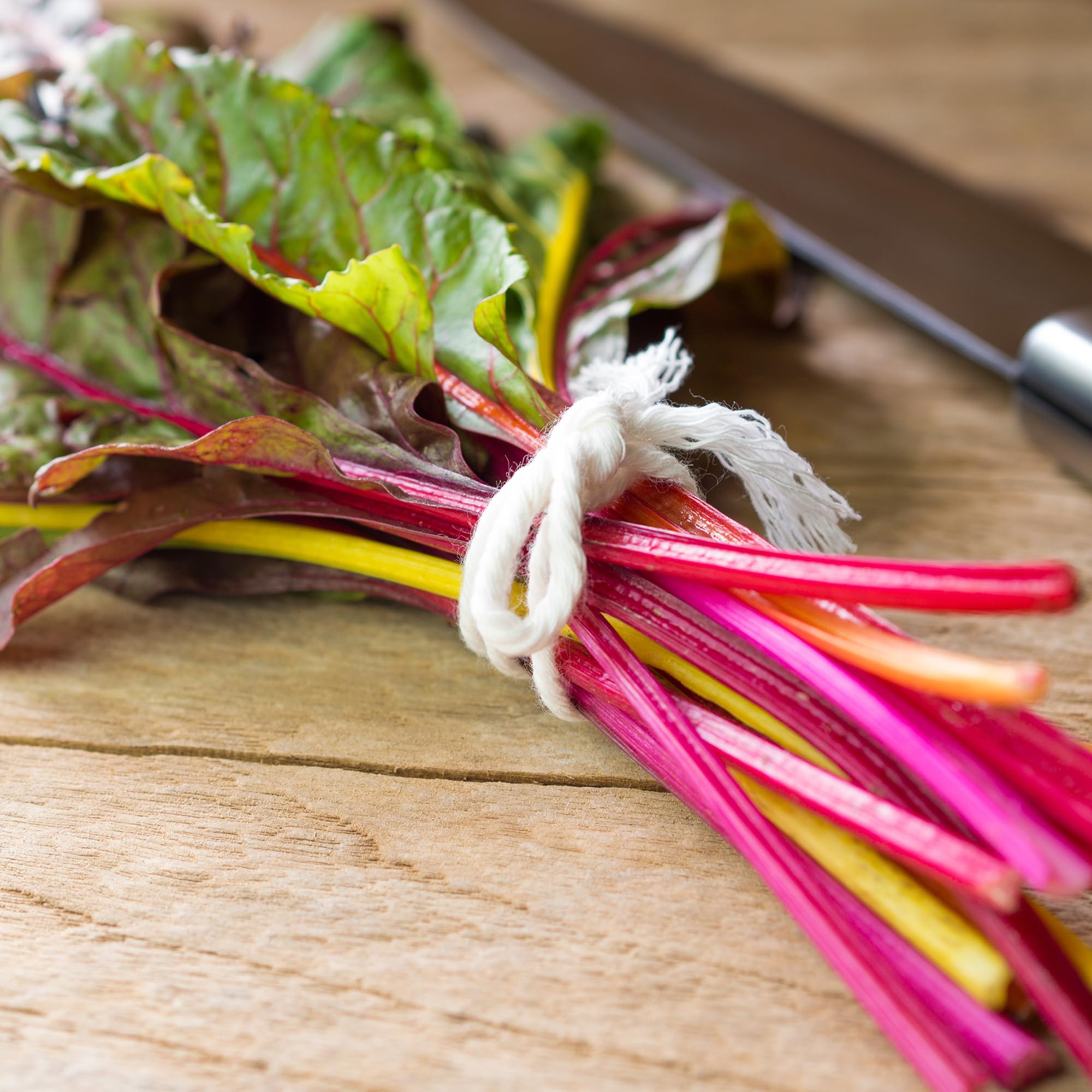 Back to The Roots 100% Organic Heirloom Seeds - Five Color Silverbeet Swiss Chard Value Pack (420mg Total) - Image 6