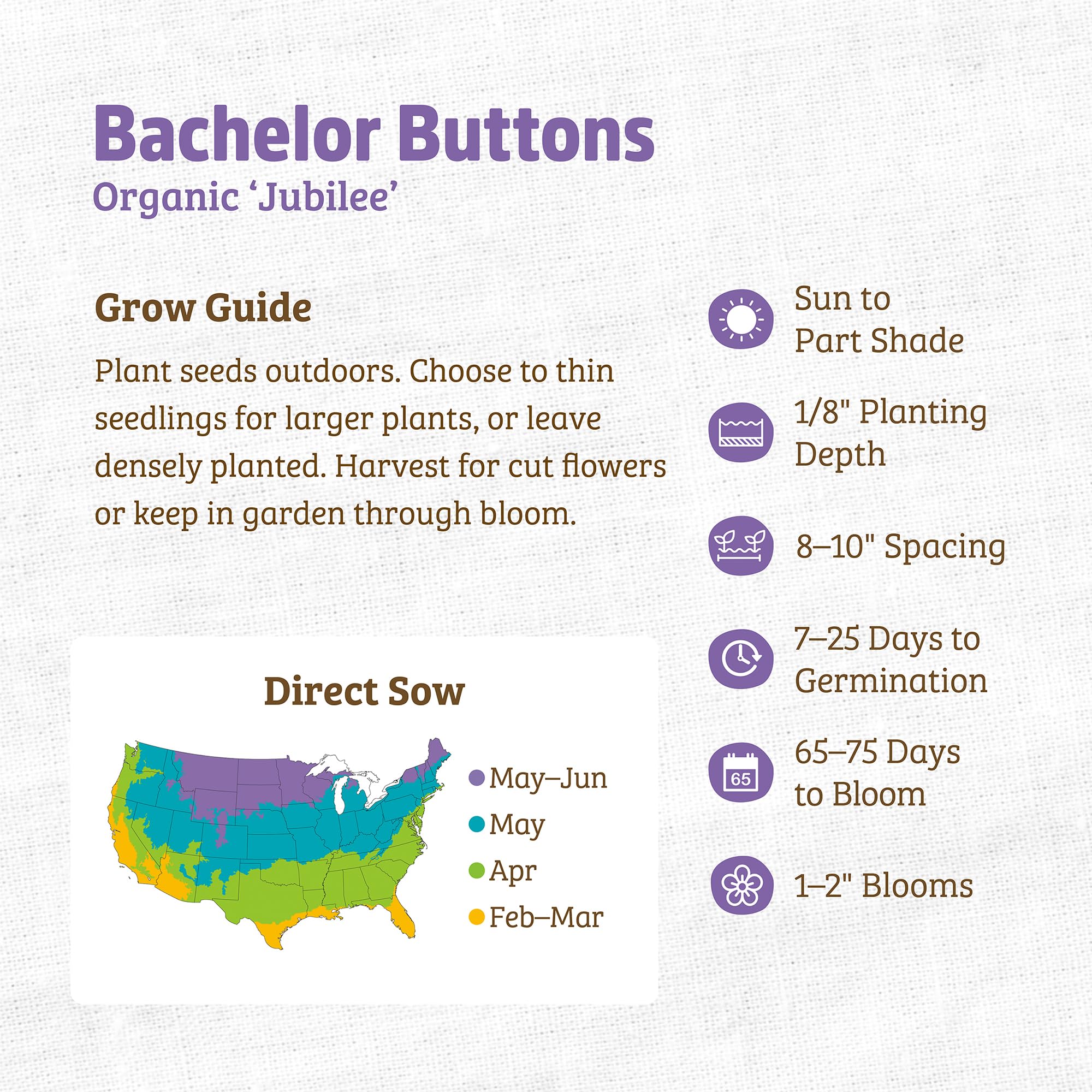 Back to The Roots 100% Organic Seed Packet - Bachelor Buttons 'Jubilee' 420mg - Image 3