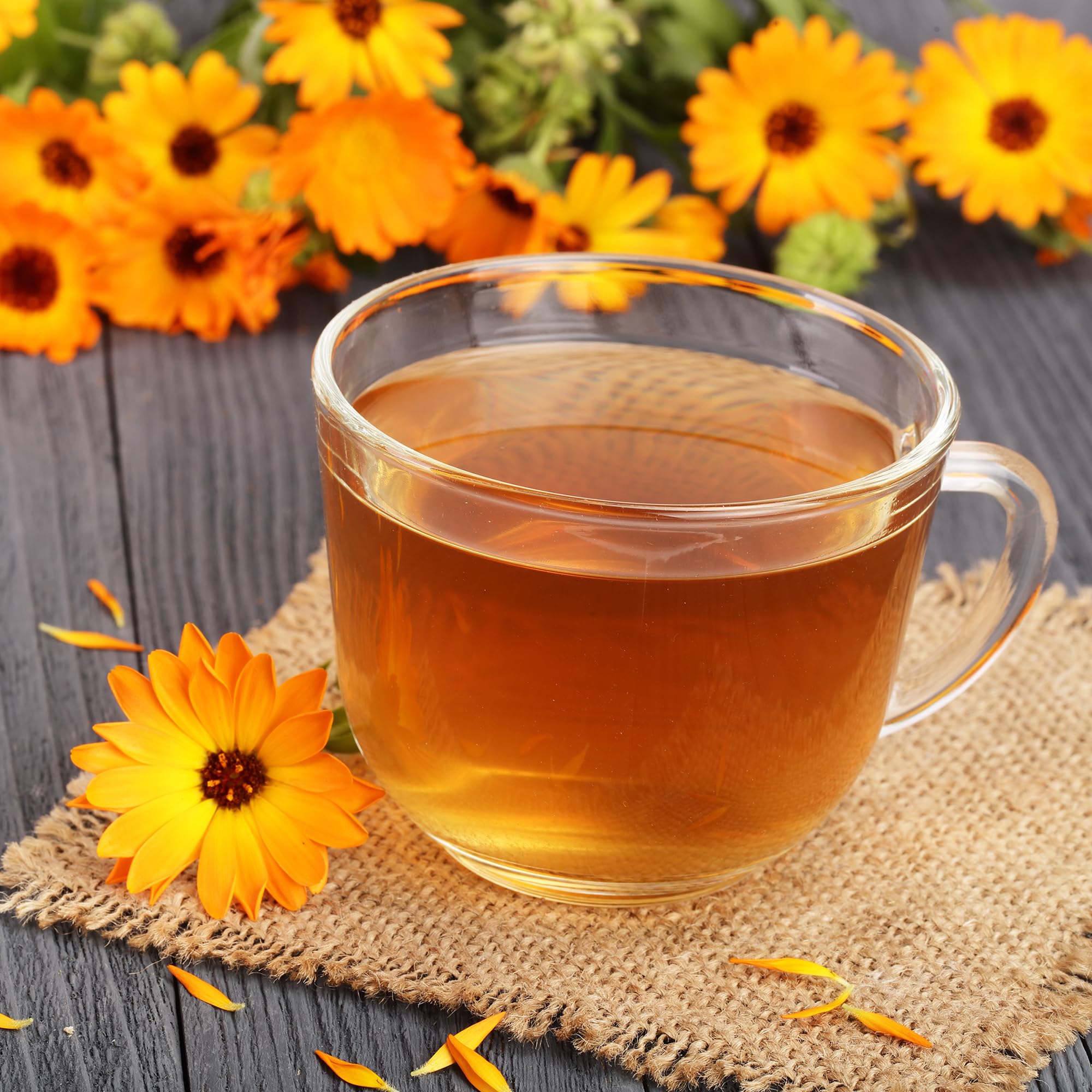 Back to The Roots 100% Organic Seed Packet - Calendula 'Pacific Beauty' 300mg - Image 8