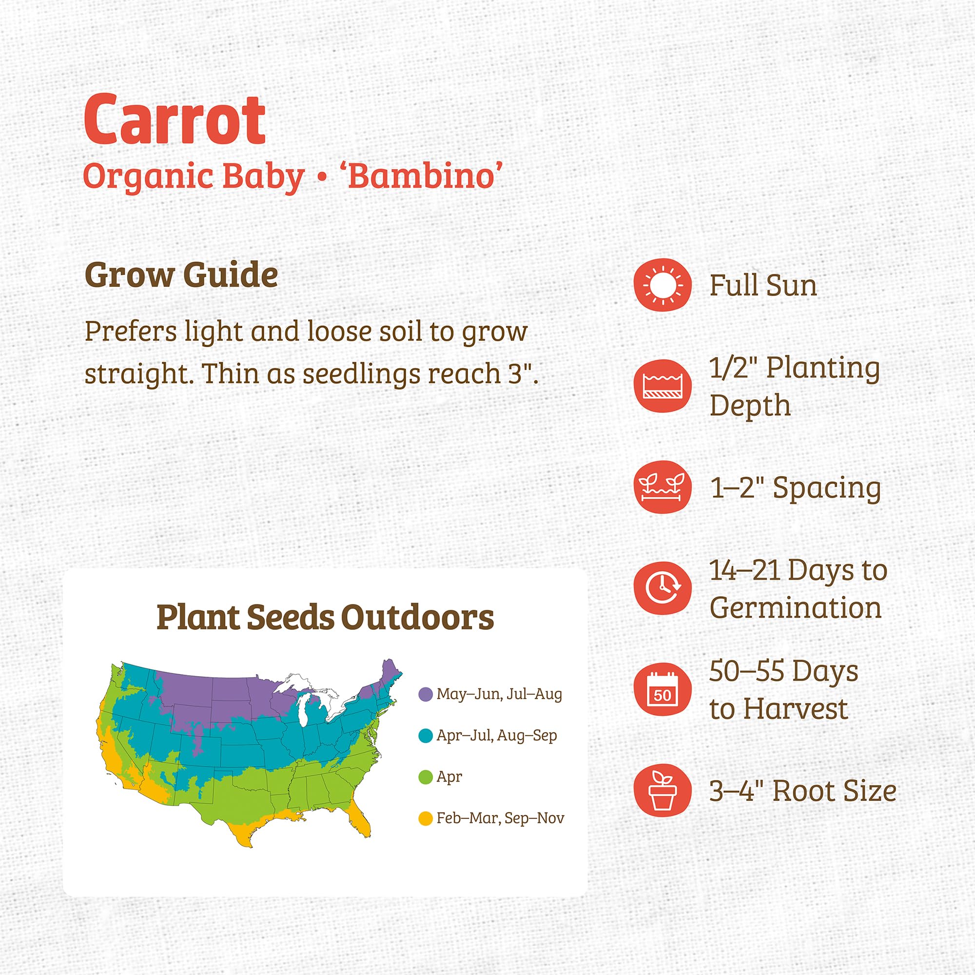 Back to The Roots 100% Organic Seed Packet - Carrot 'Bambino' 420mg - Image 3
