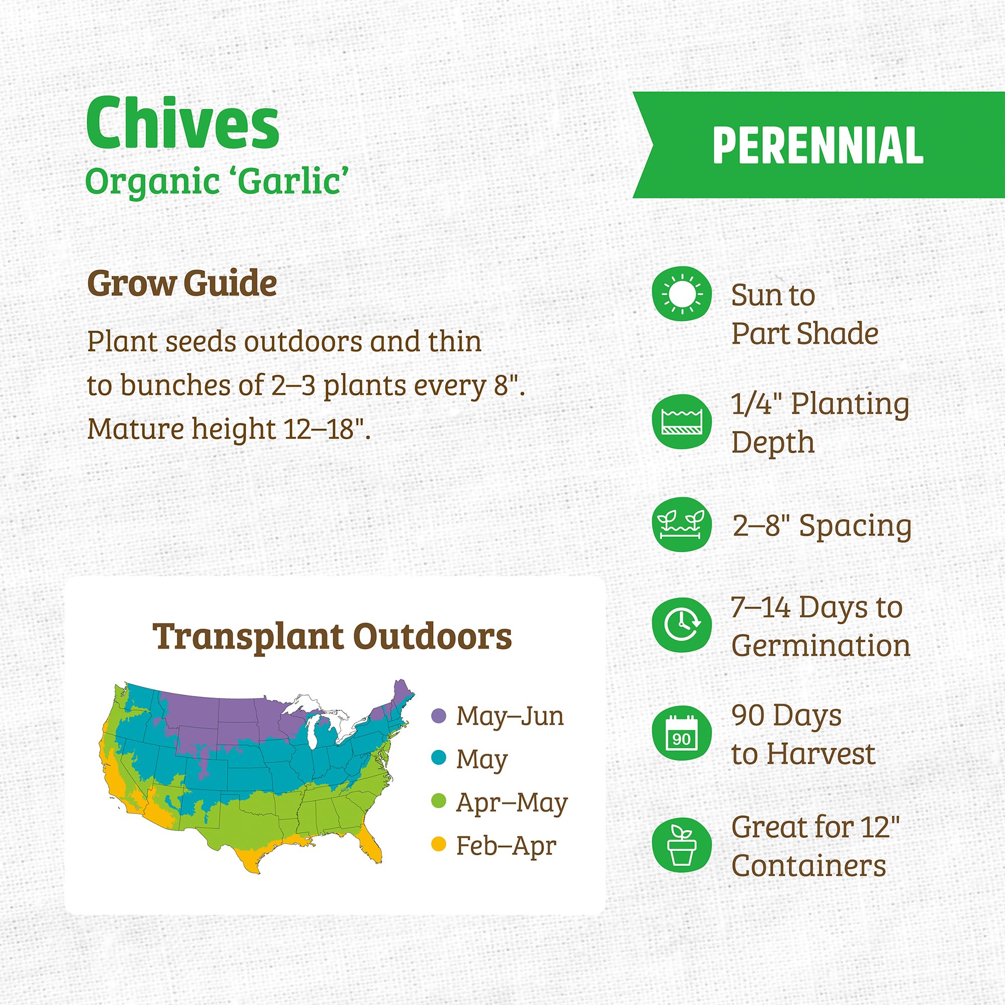 Back to The Roots 100% Organic Seed Packet - Chives 'Garlic' 140mg - Image 3