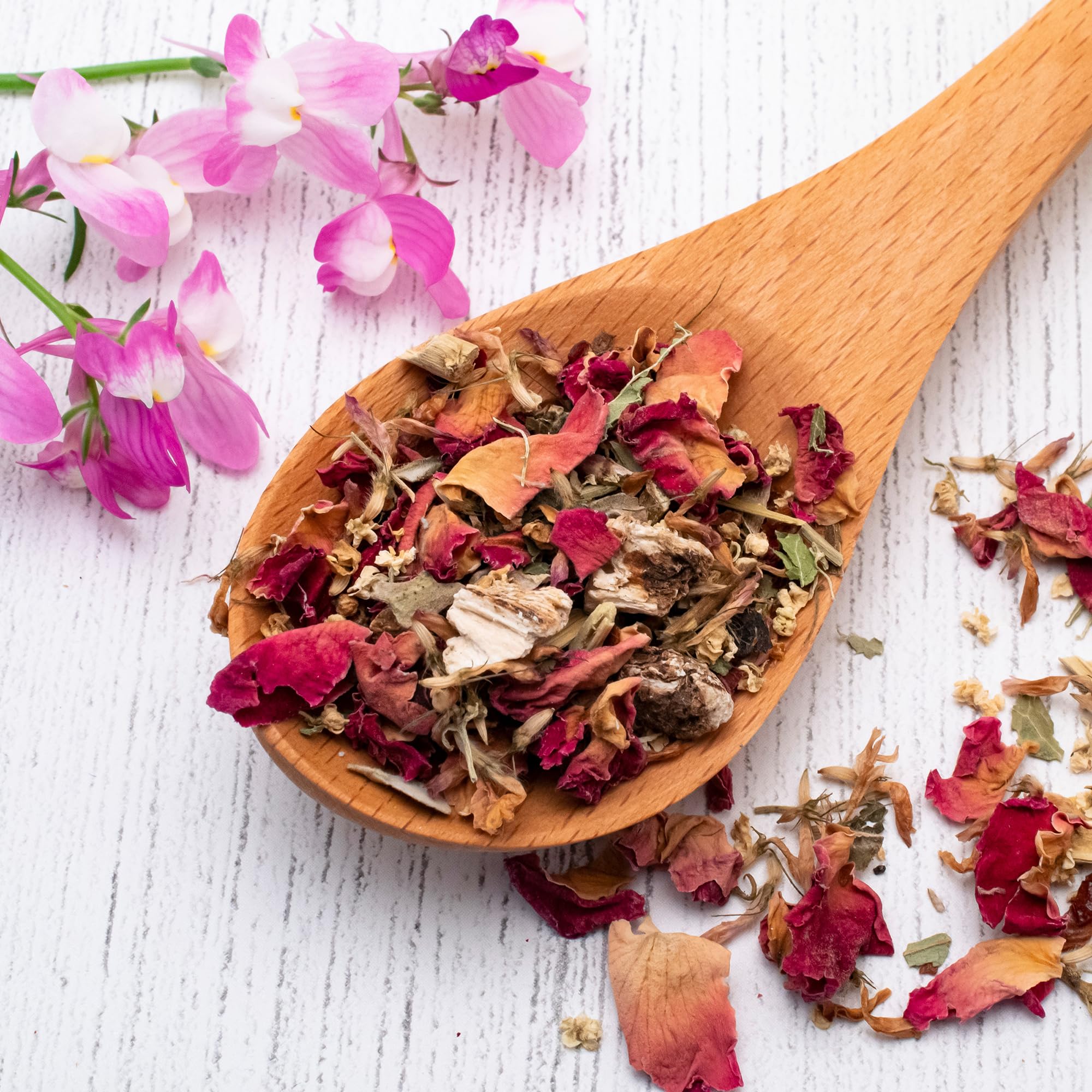 Back to The Roots 100% Organic Seed Packet - Linaria 'Fairy Bouquet' 50mg - Image 8