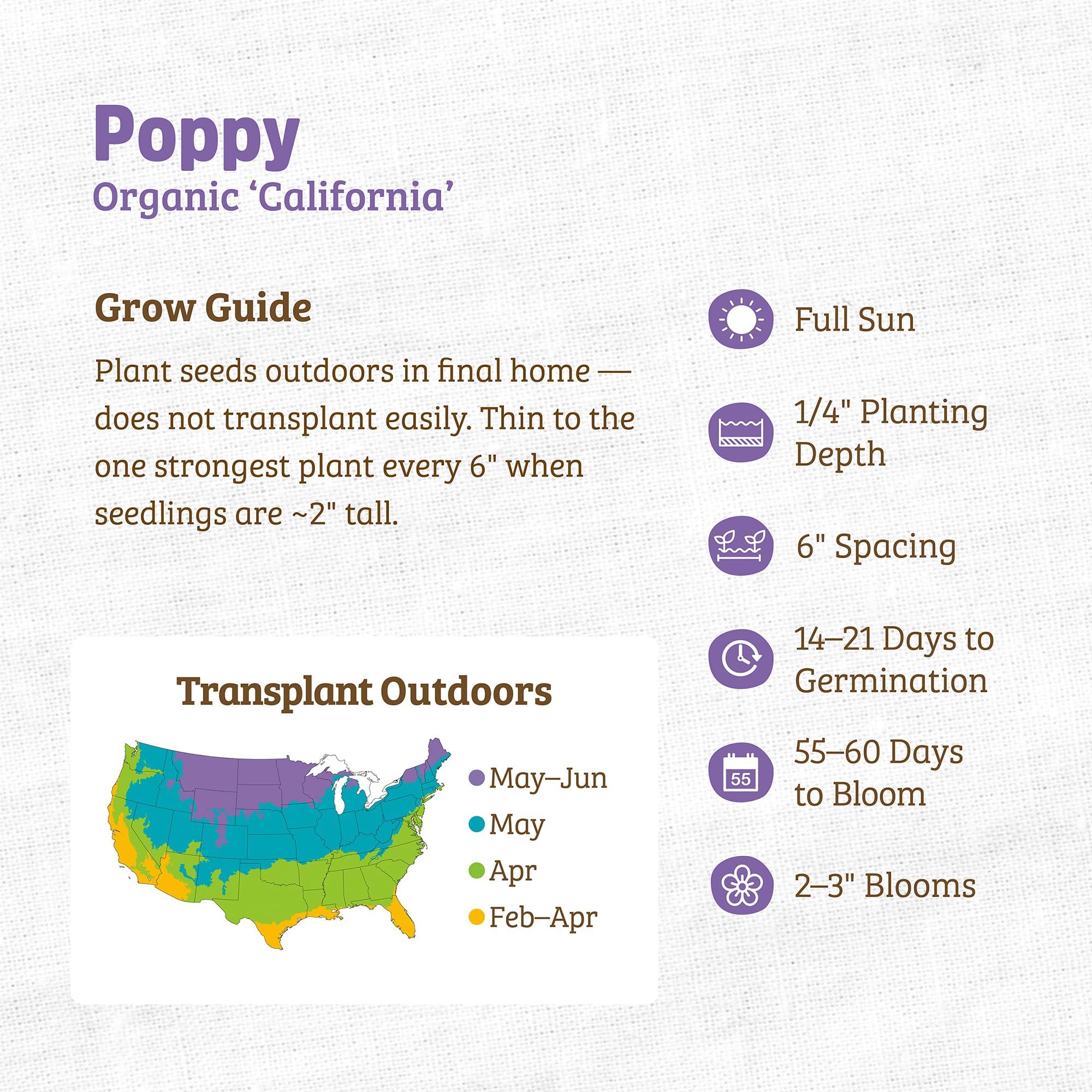 Back to the Roots 100% Organic Seed Packet - Poppy 'California' - Image 3