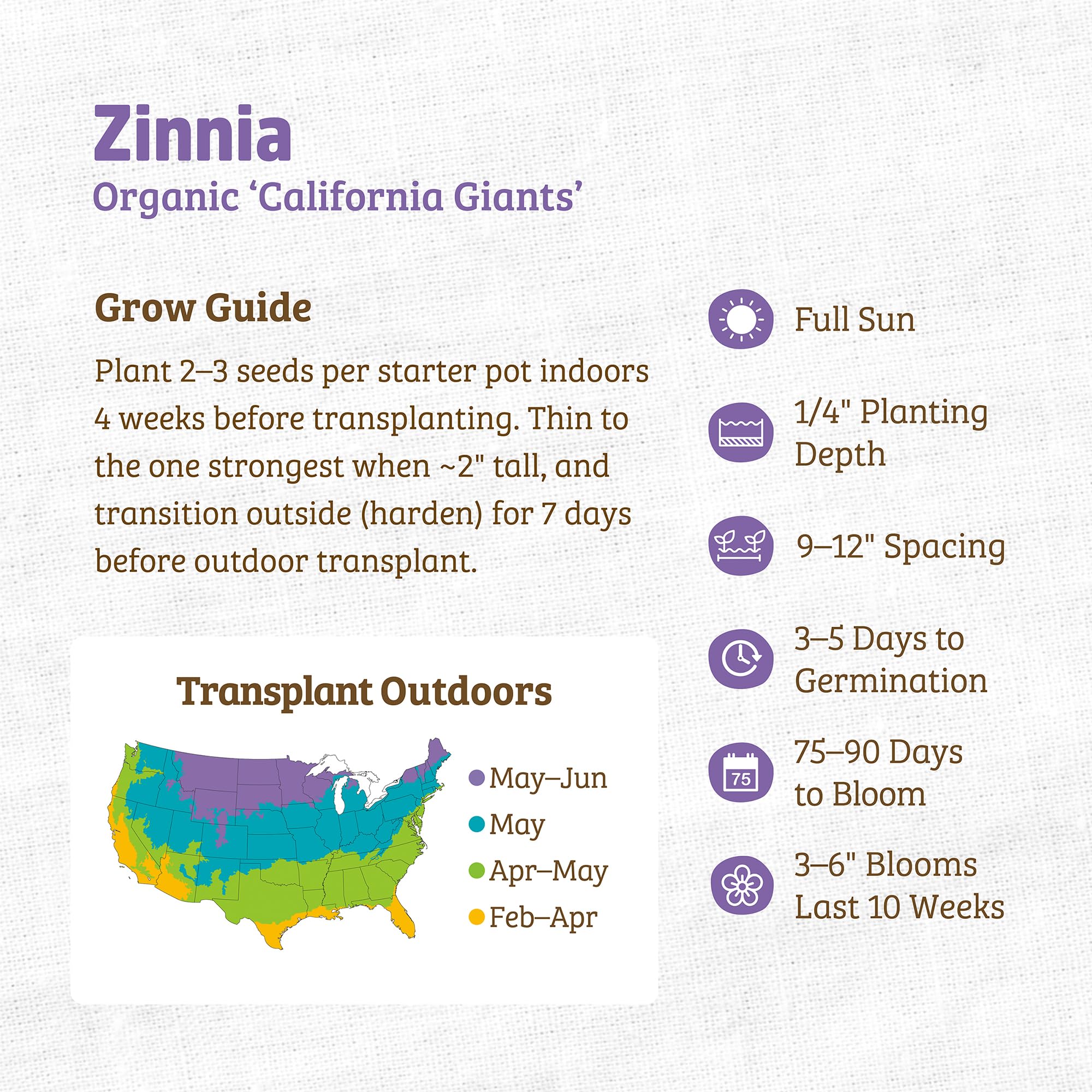 Back to The Roots 100% Organic Seed Packet - Zinnia 'California Giants' 210mg - Image 3