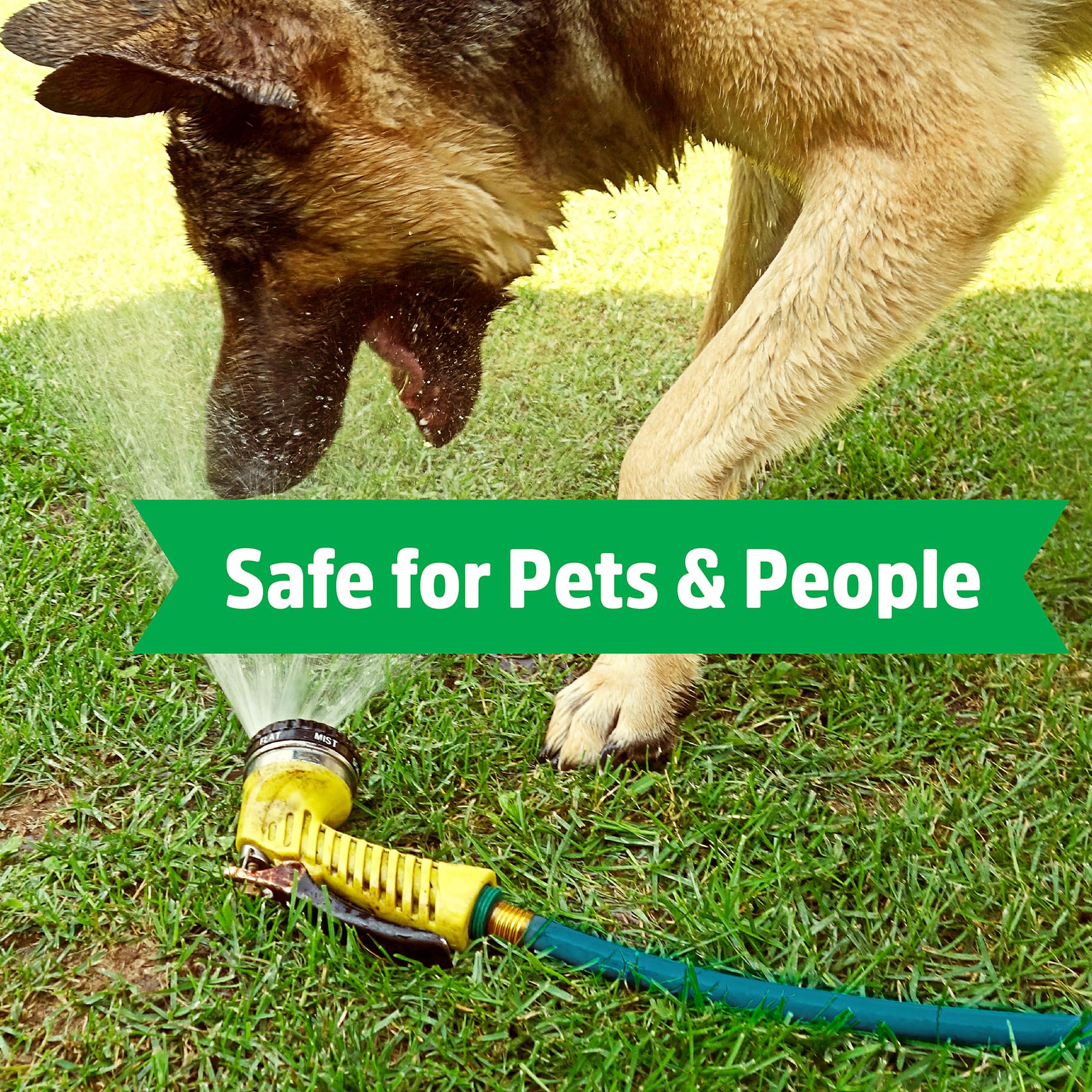 Back To The Roots 5/8" x 50ft Garden Hose – Lightweight, Ultra Flexible, Drinking Water Safe, BPA-Free, Lead-Free, Phthalate-Free, Ideal for Organic Gardening, Pets, Boats, and RVs - Made in USA - Image 6