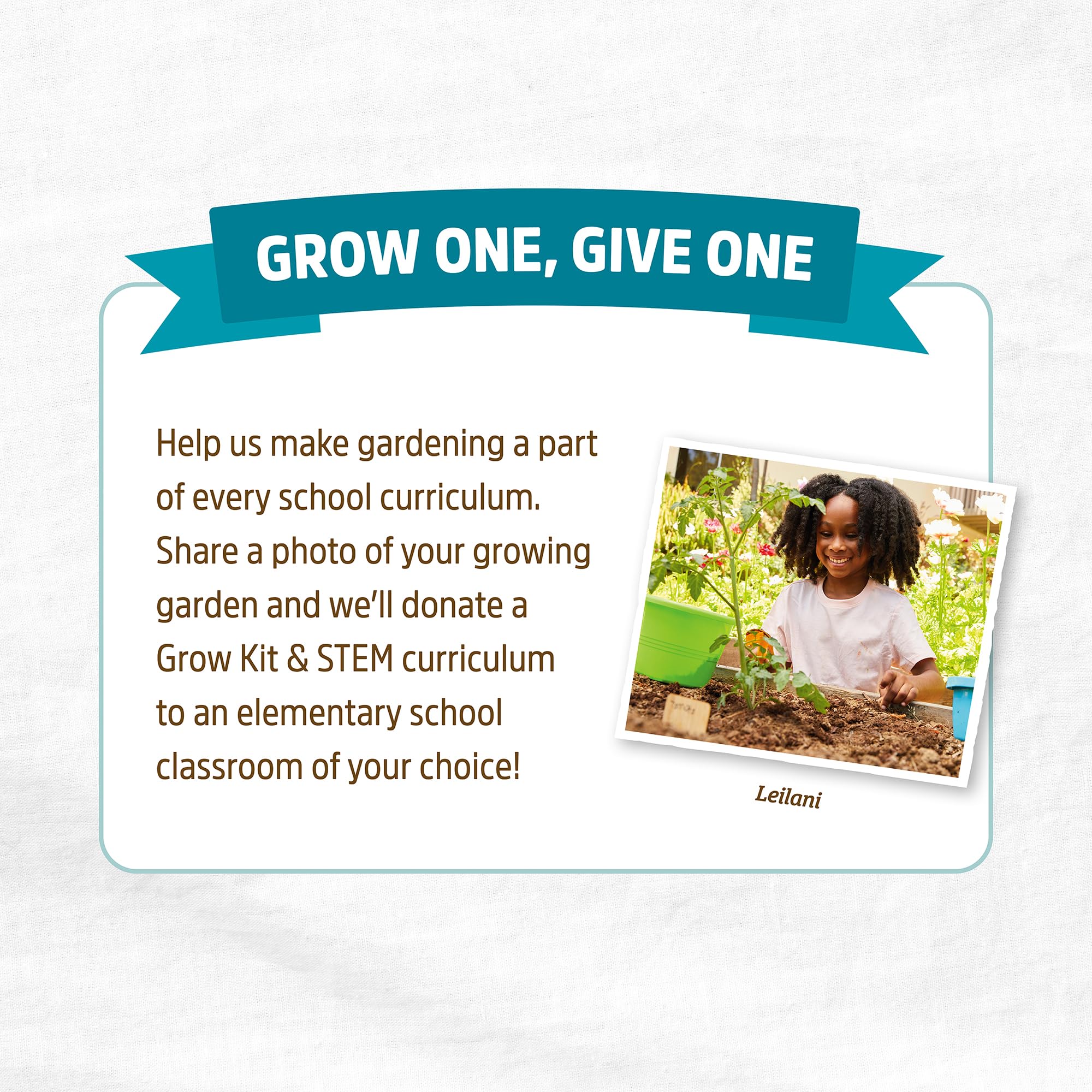 Back To The Roots 5/8" x 50ft Garden Hose – Lightweight, Ultra Flexible, Drinking Water Safe, BPA-Free, Lead-Free, Phthalate-Free, Ideal for Organic Gardening, Pets, Boats, and RVs - Made in USA - Image 8