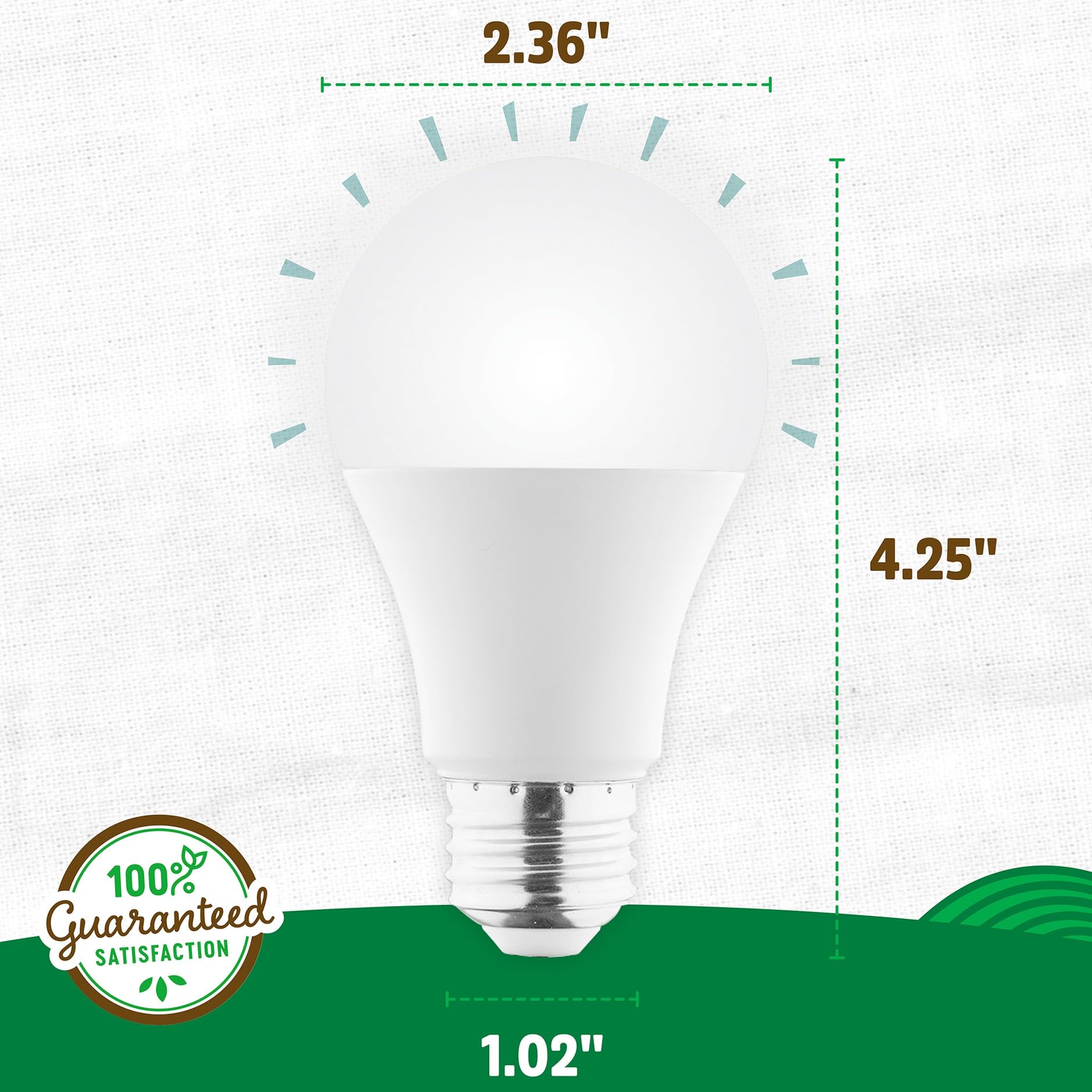 Back to The Roots Full Spectrum LED Grow Lights Value 2-Pack - Image 4