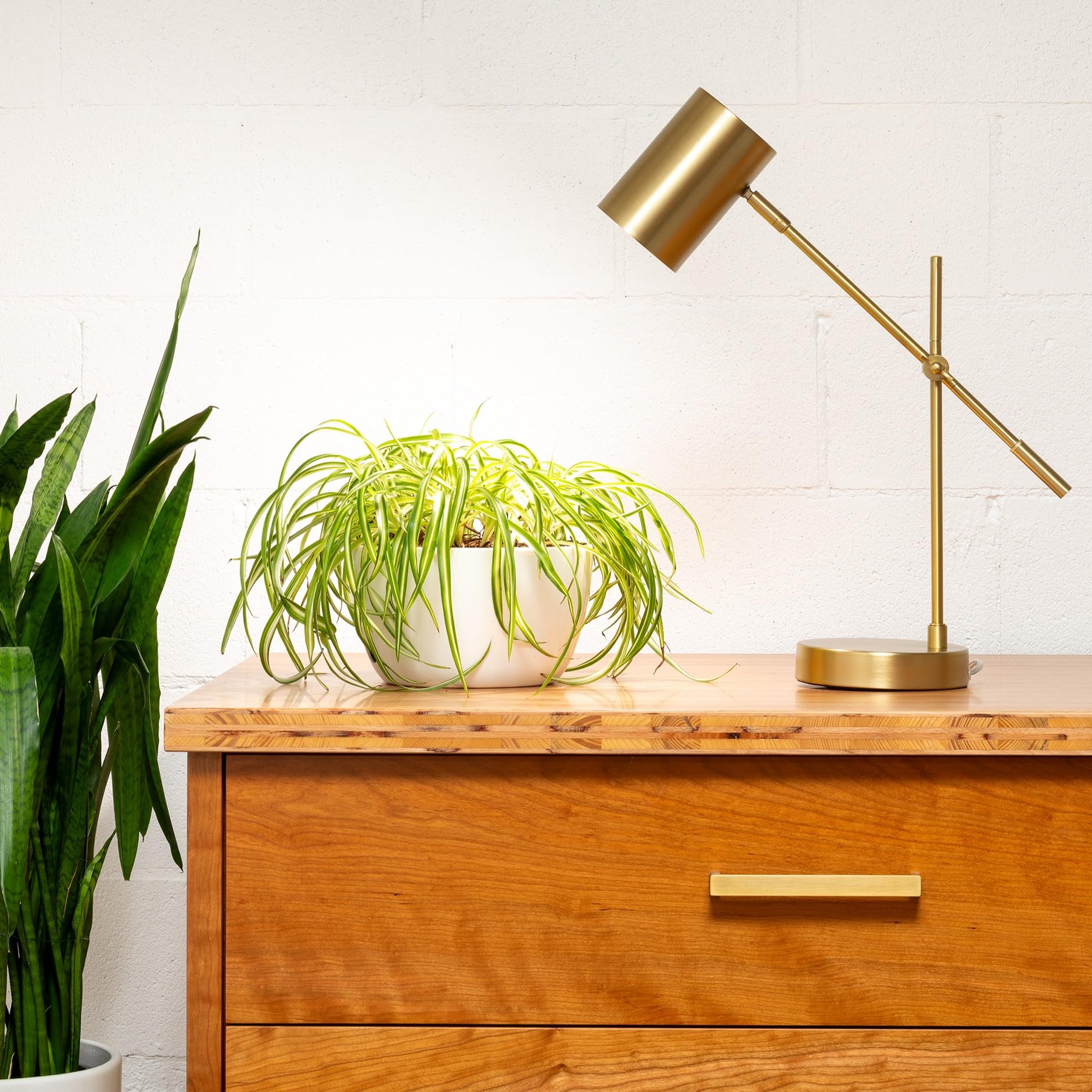 Back to The Roots Full Spectrum LED Grow Lights Value 2-Pack - Image 6