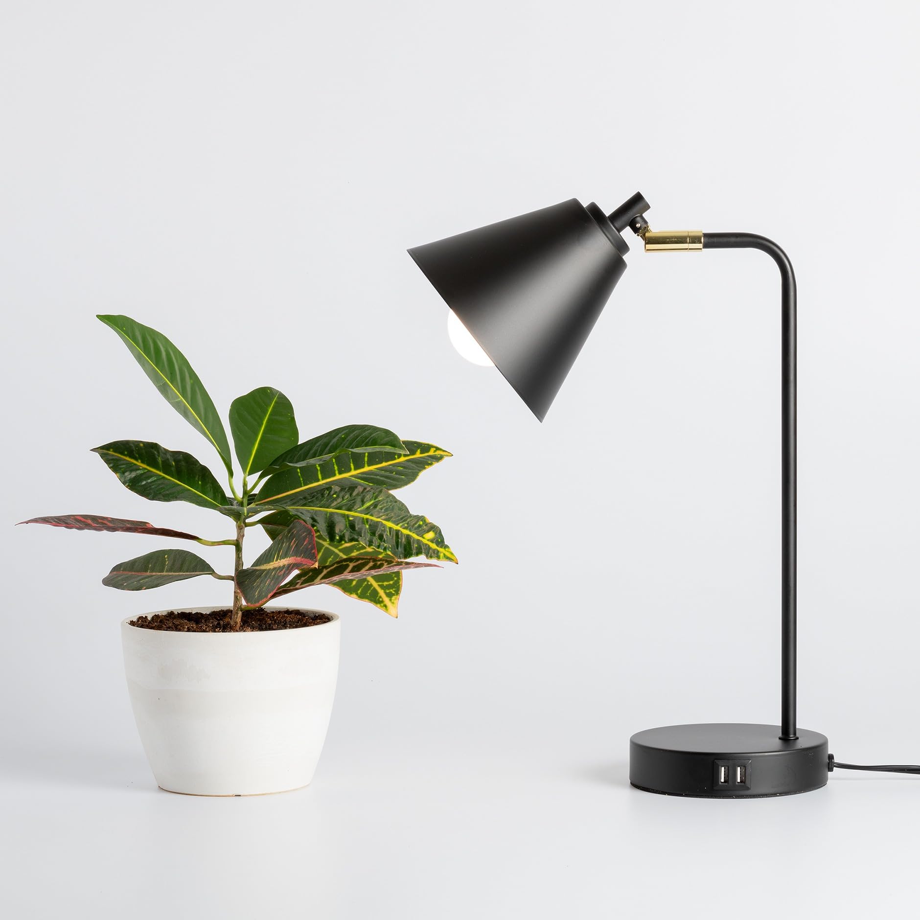 Back to The Roots Full Spectrum LED Grow Lights Value 2-Pack - Image 7