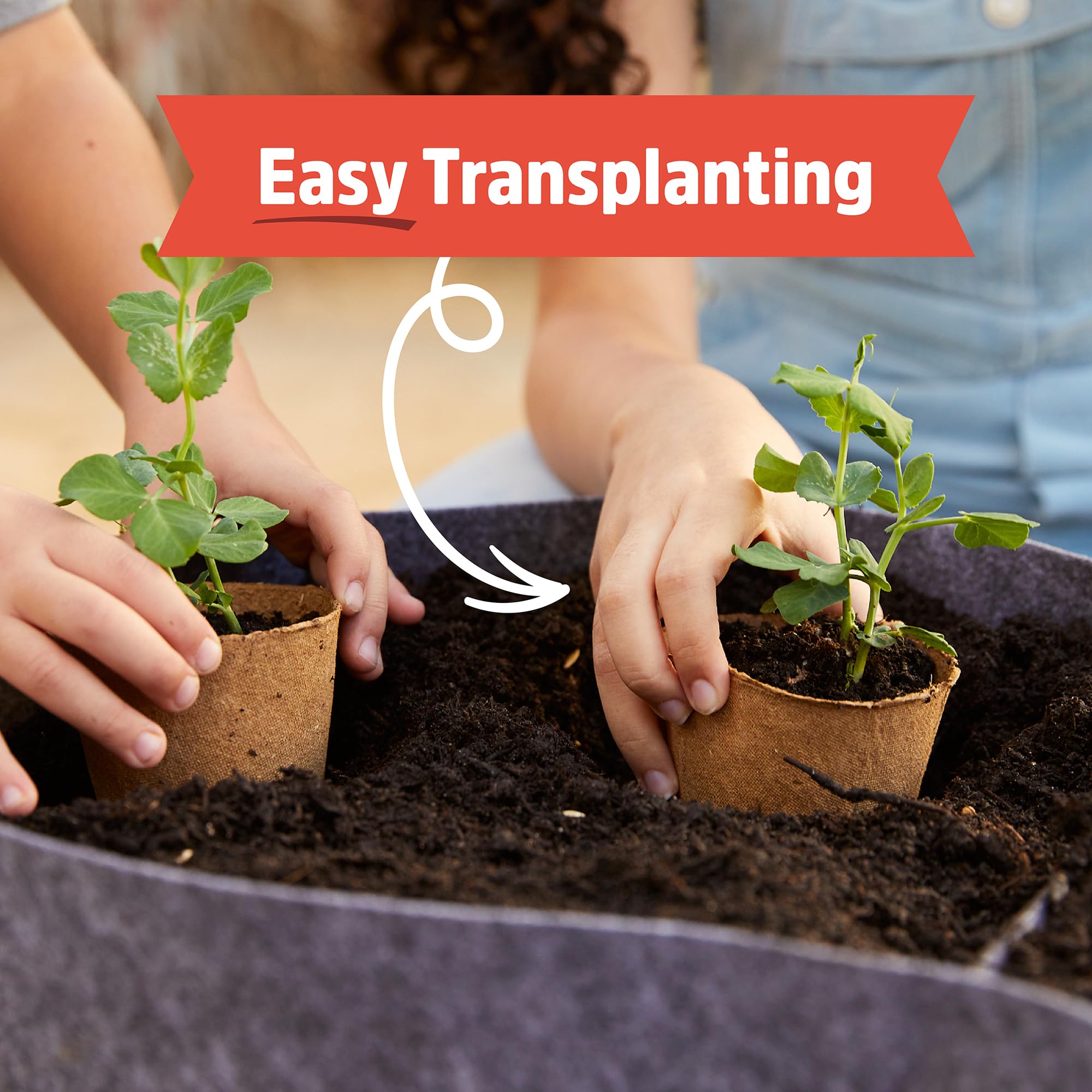 Back to The Roots Kids Science Grow Kit 2ct - Watermelon and Sunflower - Image 4