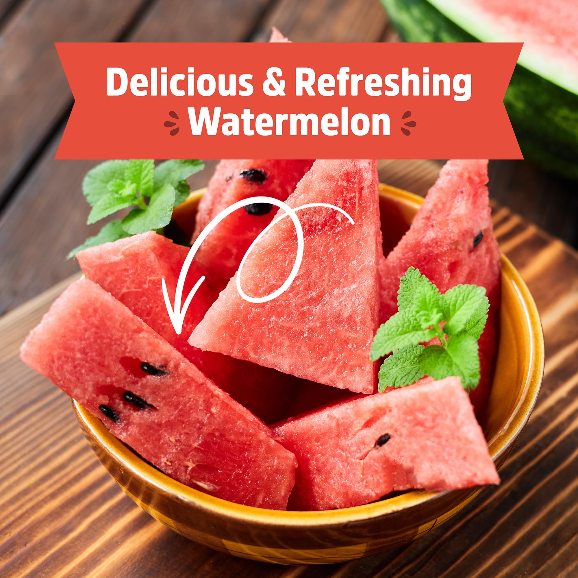 Back to The Roots Kids Science Grow Kit 2ct - Watermelon and Sunflower - Image 6