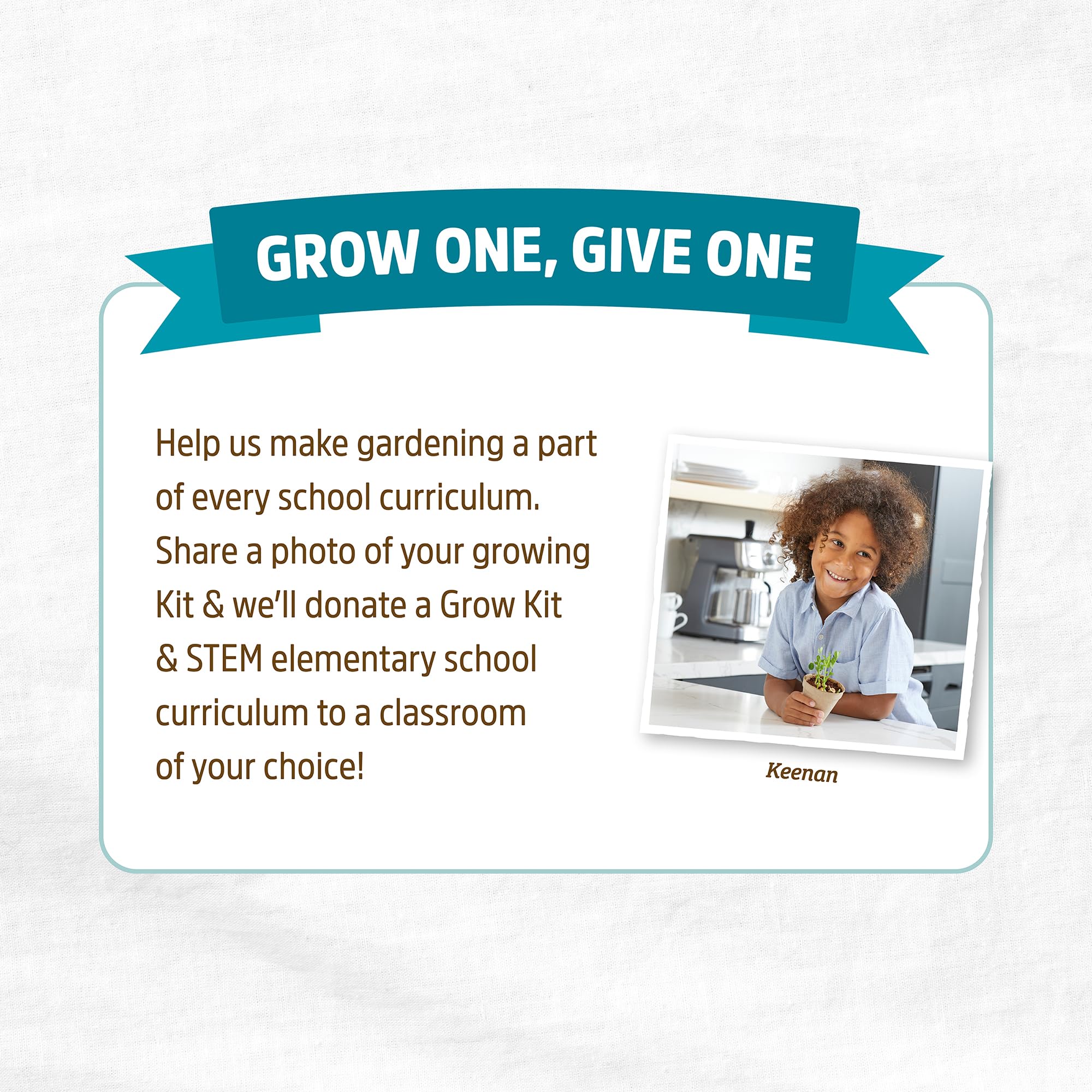 Back to The Roots Kids Science Grow Kit 2ct - Watermelon and Sunflower - Image 8