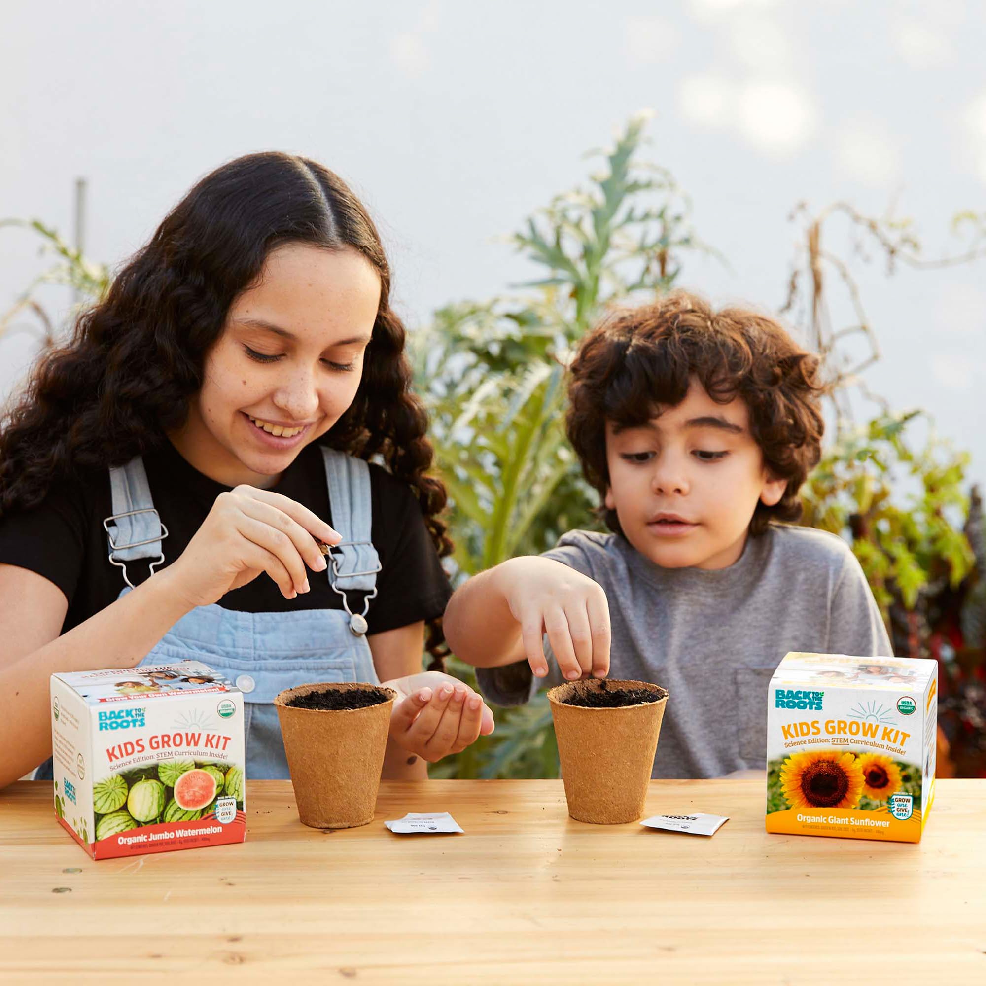 Back to The Roots Kids Science Grow Kit 2ct - Watermelon and Sunflower - Image 9