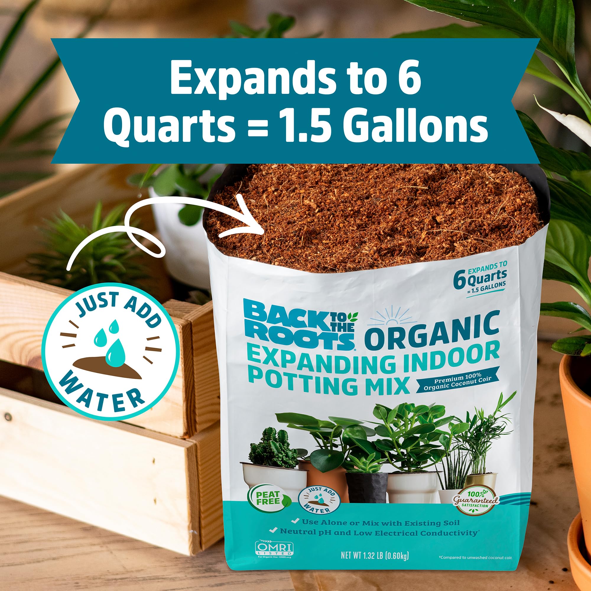 Back to The Roots Organic Indoor Soil Compressed Block Expands to 6 Quarts - Image 3
