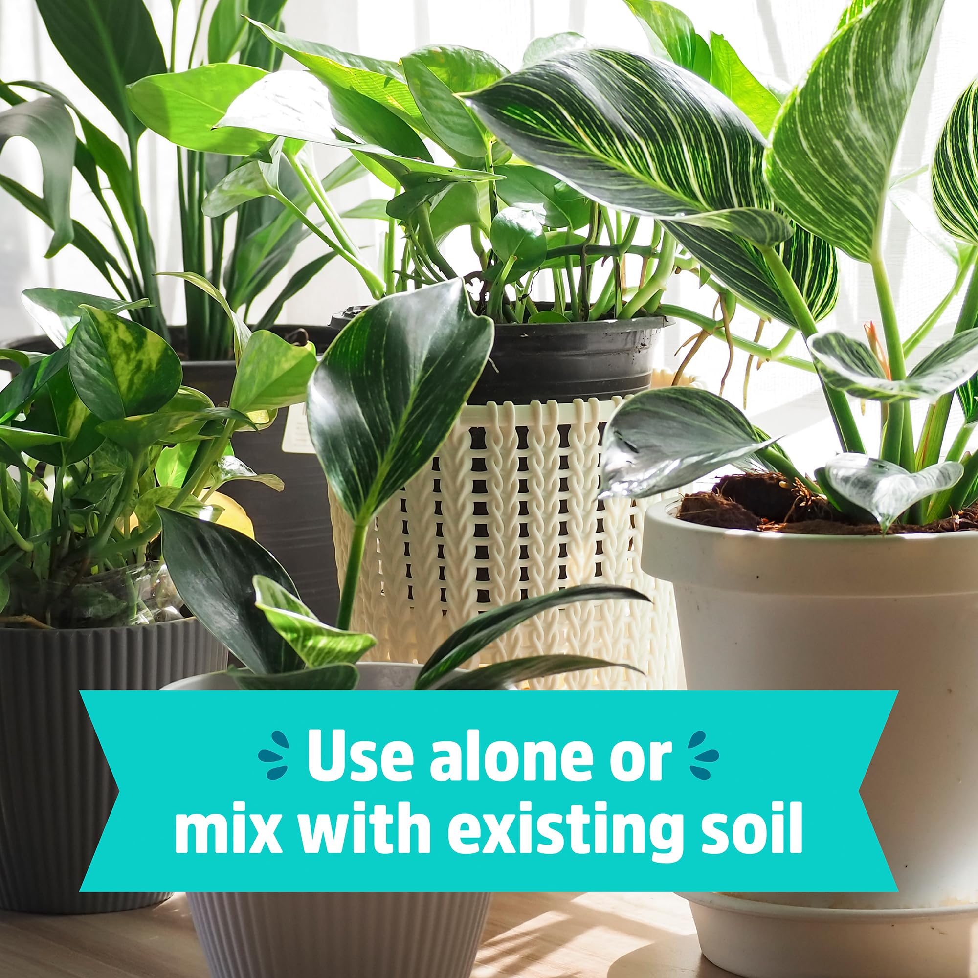 Back to The Roots Organic Indoor Soil Compressed Block Expands to 6 Quarts - Image 4