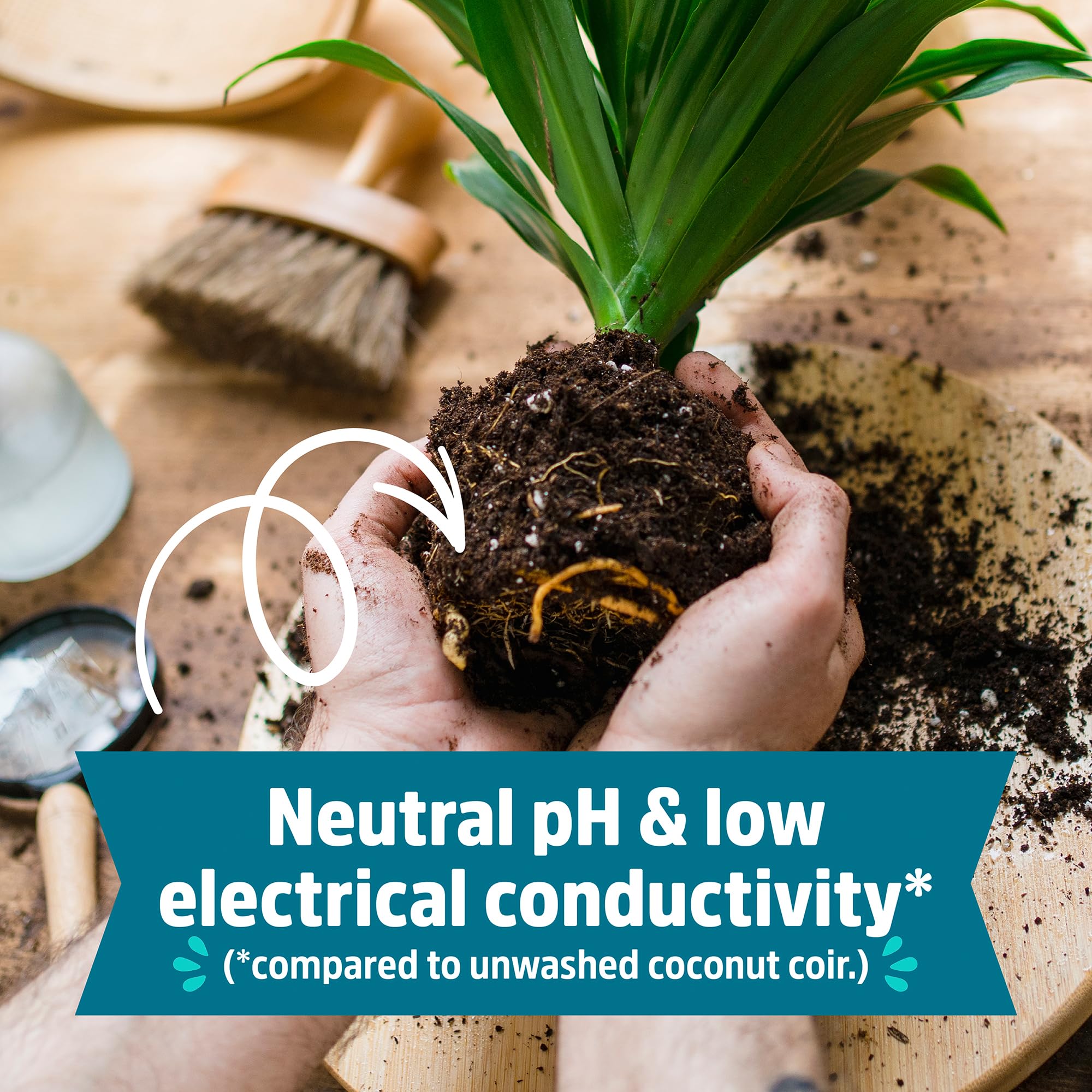 Back to The Roots Organic Indoor Soil Compressed Block Expands to 6 Quarts - Image 5