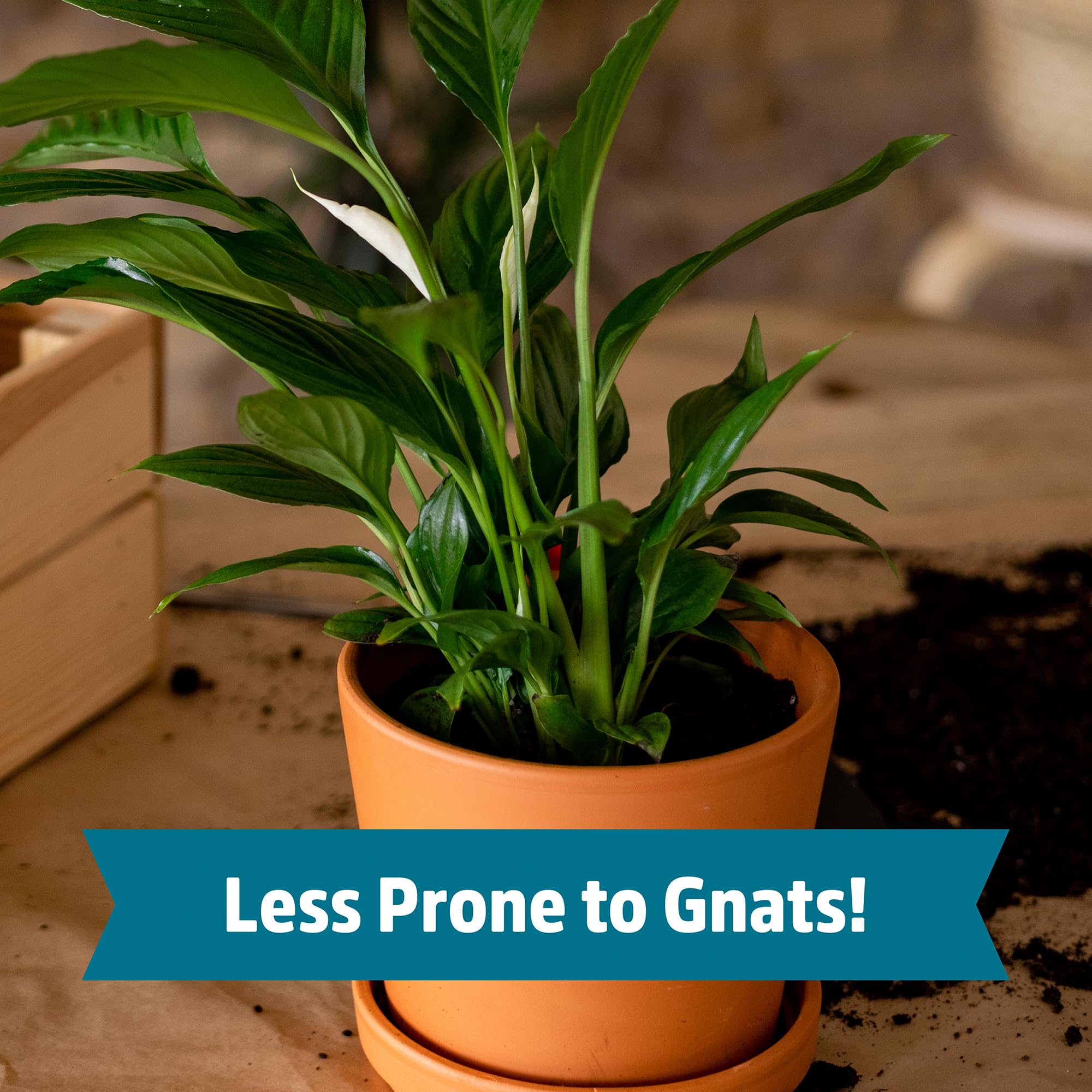 Back to The Roots Organic Indoor Soil Compressed Block Expands to 6 Quarts - Image 7