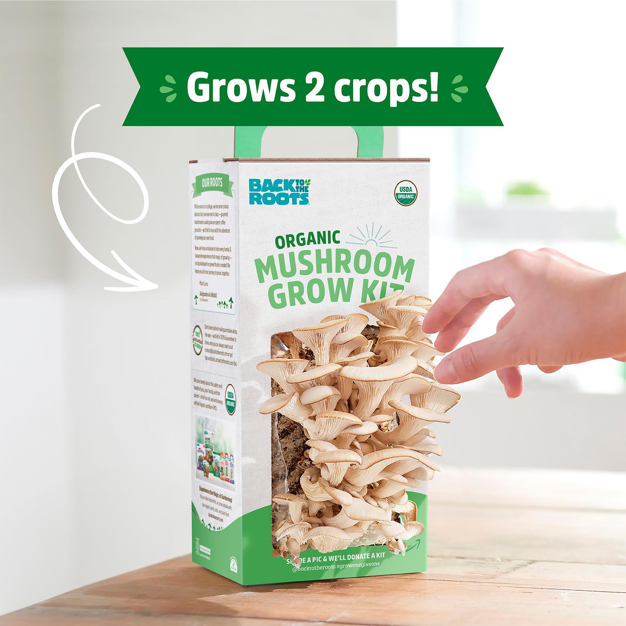 Back to the Roots Organic Oyster Mushroom Grow Kit, Harvest Gourmet Mushrooms In 10 Days - Image 3