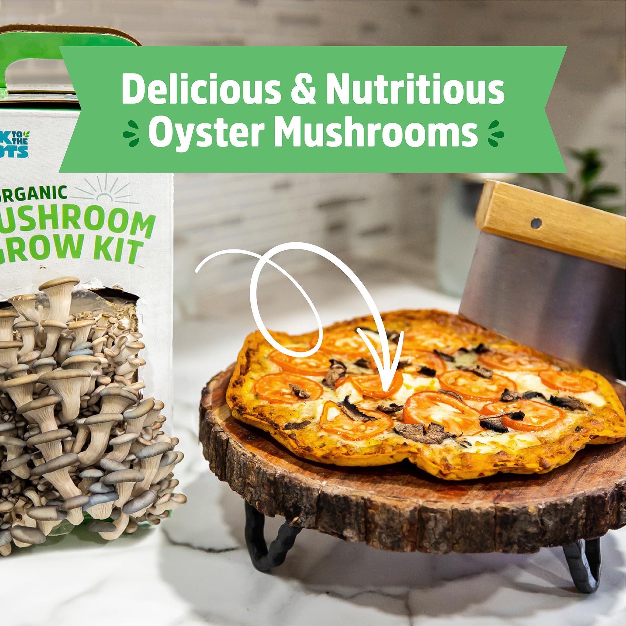 Back to the Roots Organic Oyster Mushroom Grow Kit, Harvest Gourmet Mushrooms In 10 Days - Image 6