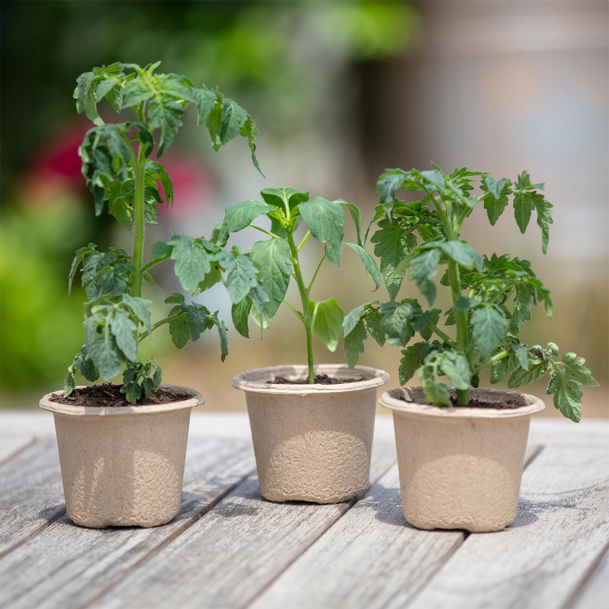 Back to the Roots Organic & PLANTABLE 4.25" Wide Seed Starting POTS (8 CT) - Image 8