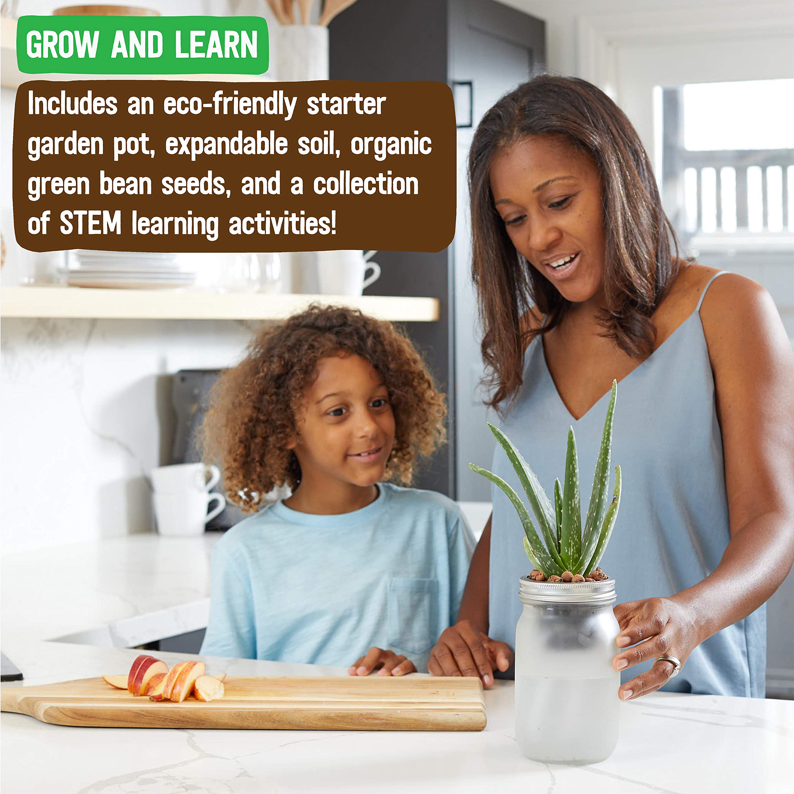 Back to The Roots Self Watering Grow Kit - Glass Hydroponic Planters for Succulents and Cacti Self-Watering System - Image 3