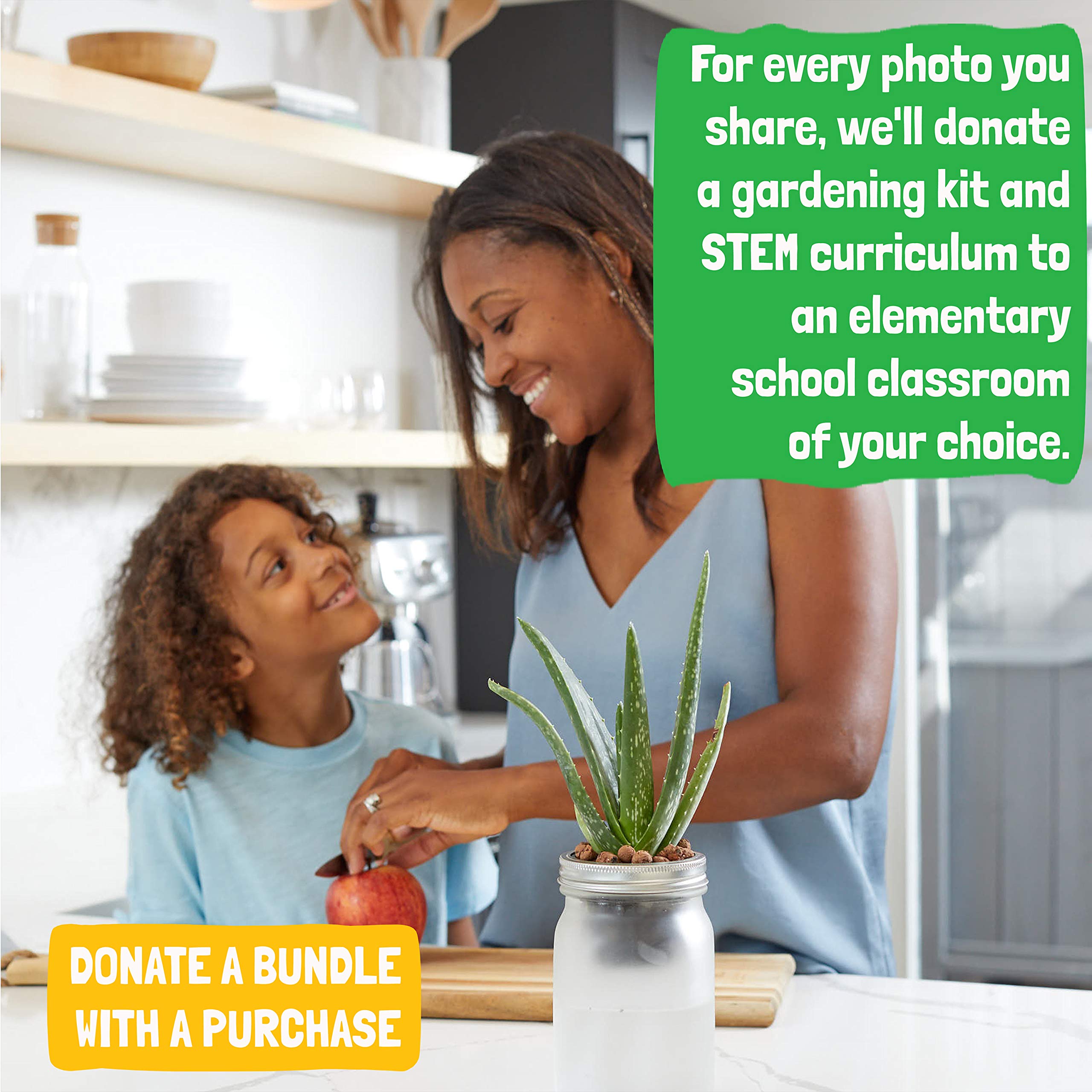 Back to The Roots Self Watering Grow Kit - Glass Hydroponic Planters for Succulents and Cacti Self-Watering System - Image 5