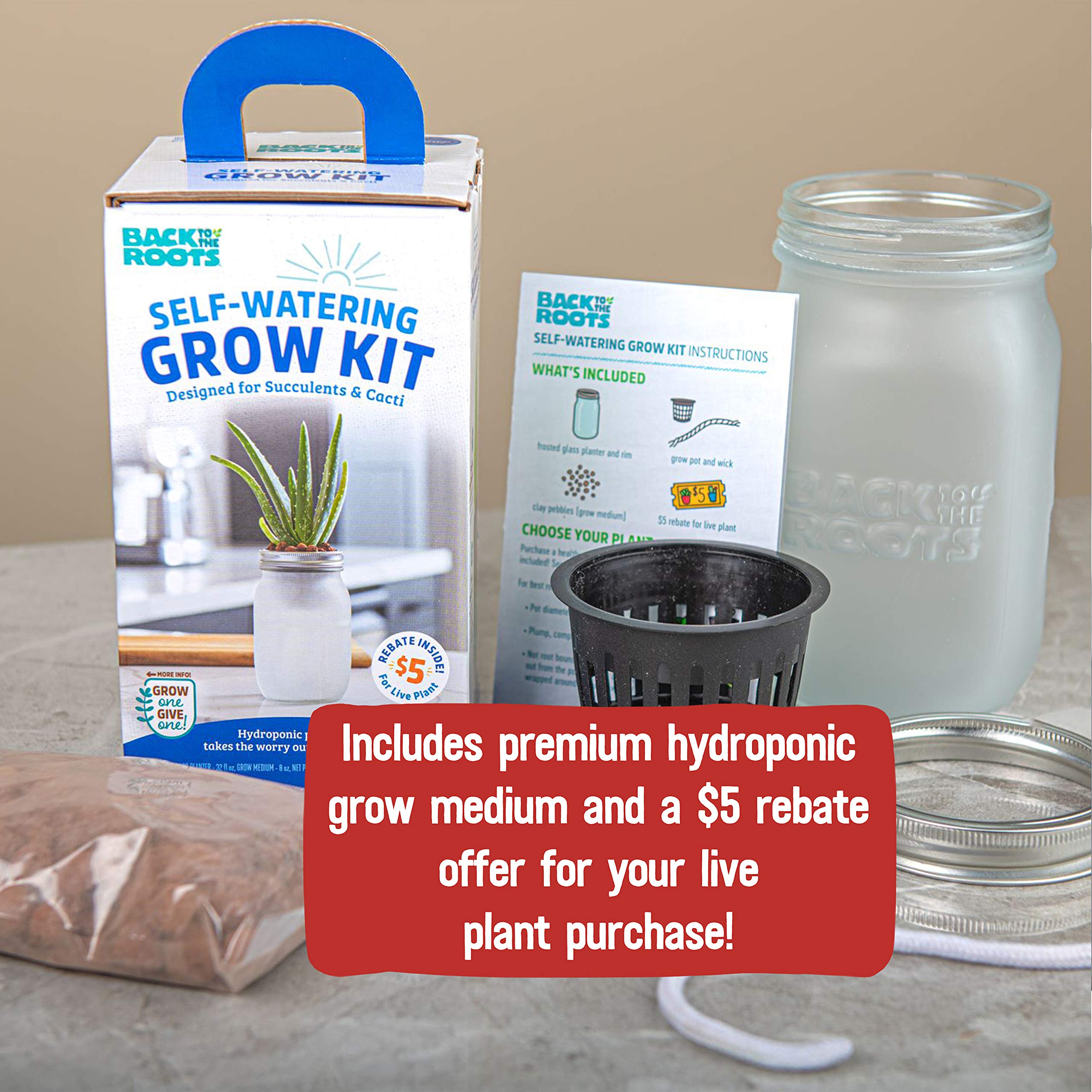 Back to The Roots Self Watering Grow Kit - Glass Hydroponic Planters for Succulents and Cacti Self-Watering System - Image 6