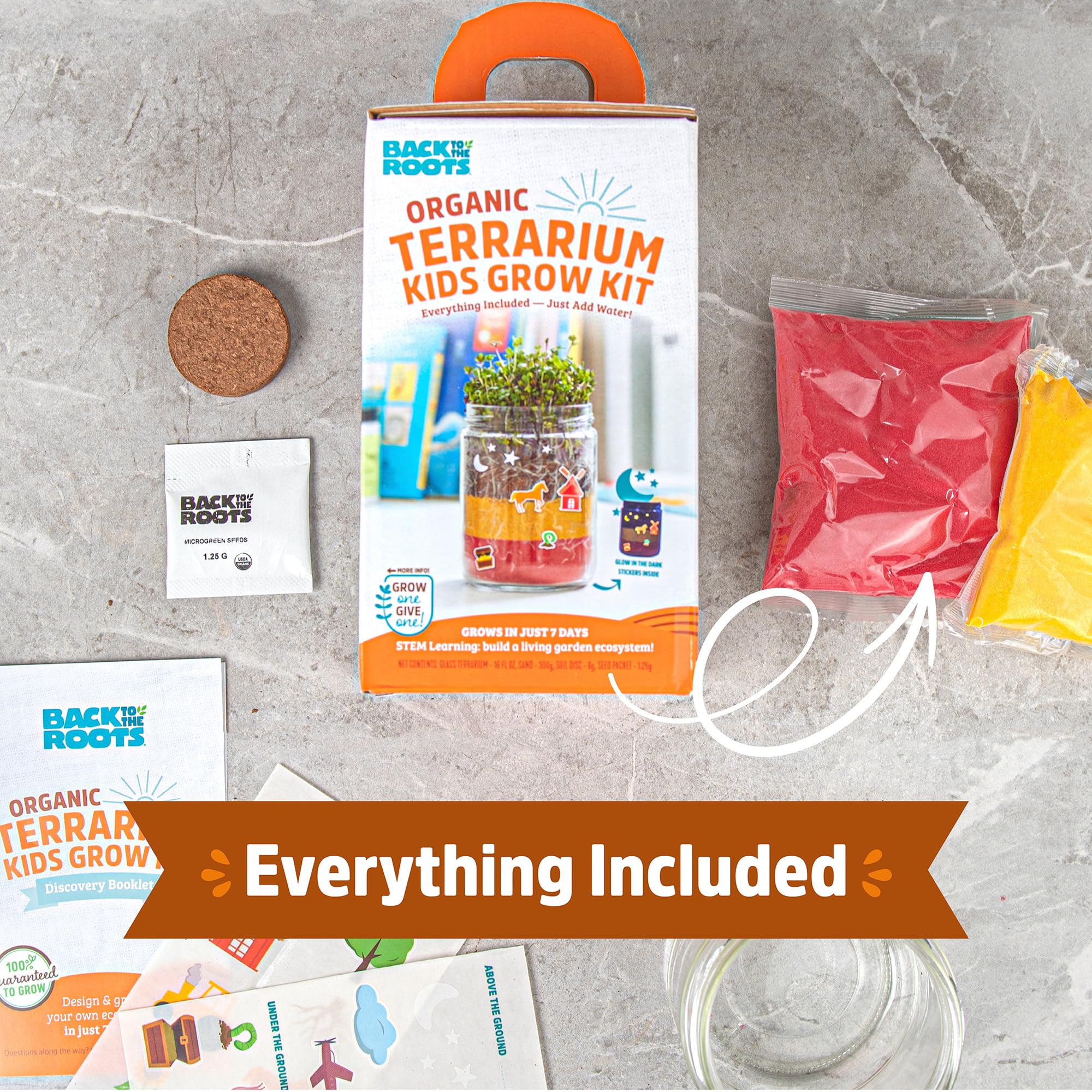 Back to the Roots Terrarium Grow Kit - Easy-to-Use DIY Set for All Ages Small - Image 3
