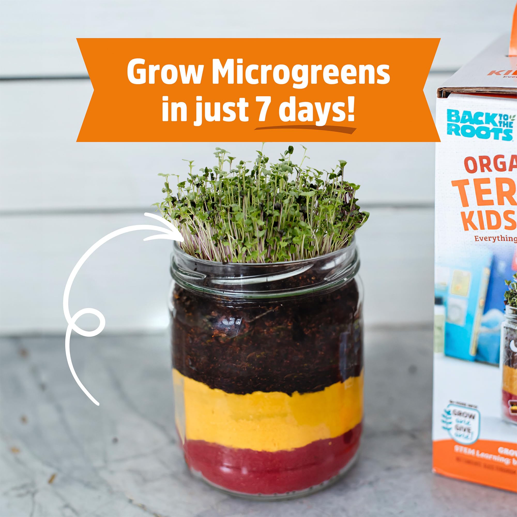 Back to the Roots Terrarium Grow Kit - Easy-to-Use DIY Set for All Ages Small - Image 4
