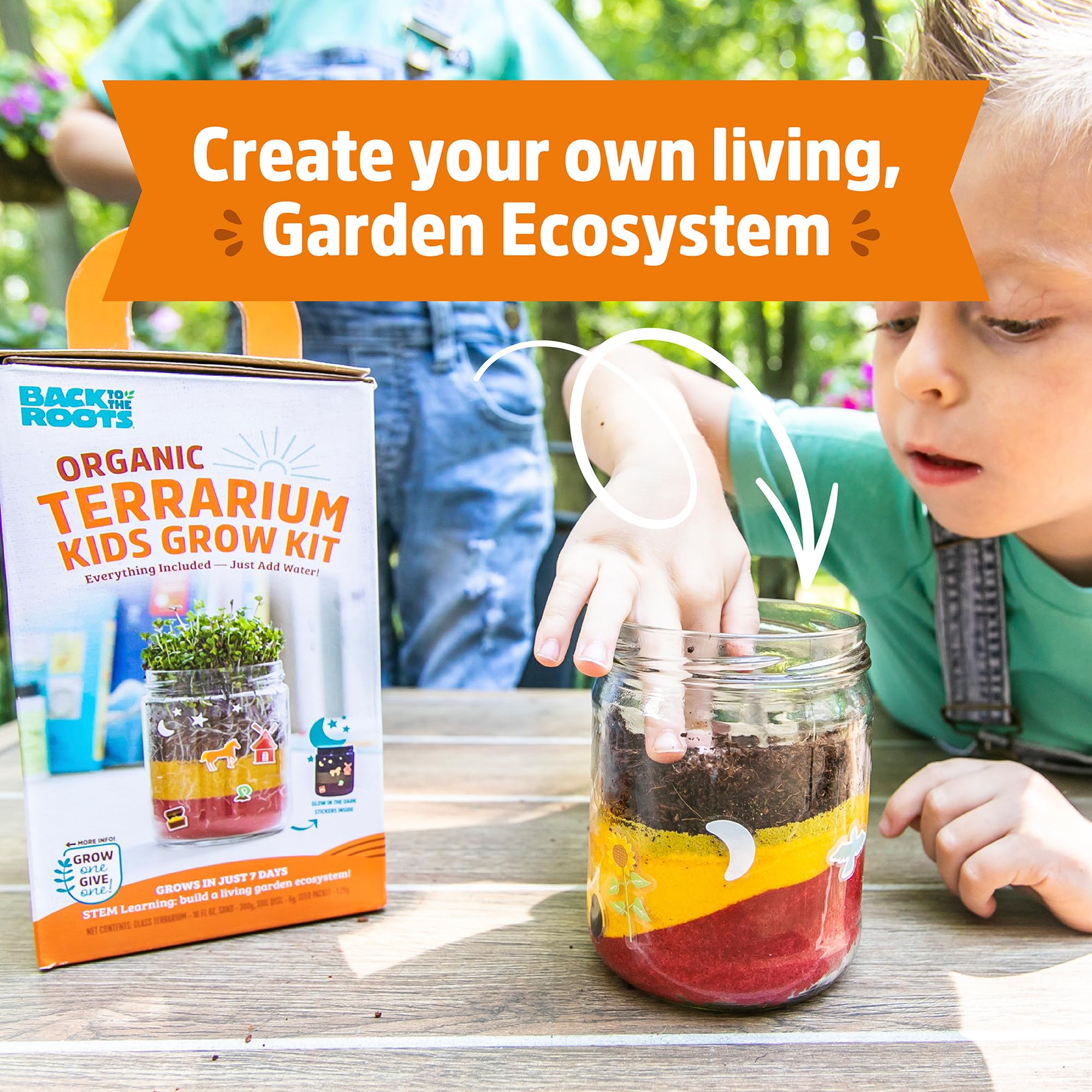 Back to the Roots Terrarium Grow Kit - Easy-to-Use DIY Set for All Ages Small - Image 5