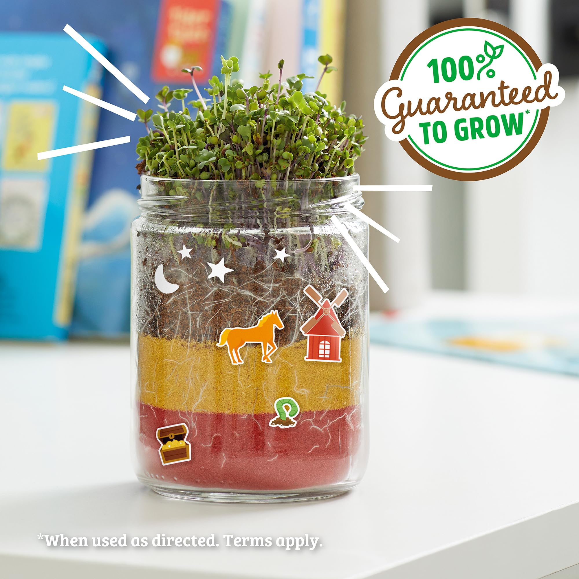 Back to the Roots Terrarium Grow Kit - Easy-to-Use DIY Set for All Ages Small - Image 6