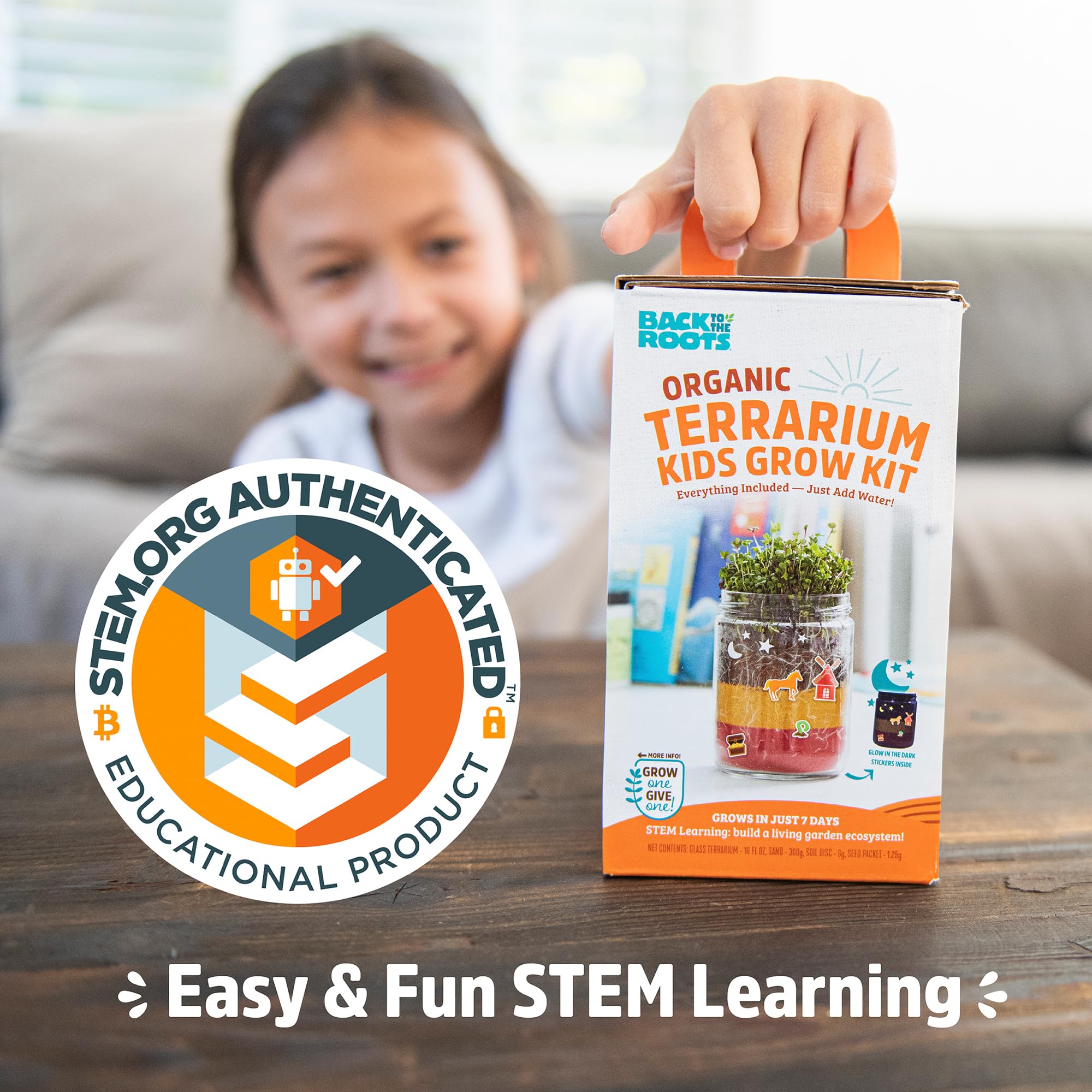 Back to the Roots Terrarium Grow Kit - Easy-to-Use DIY Set for All Ages Small - Image 7