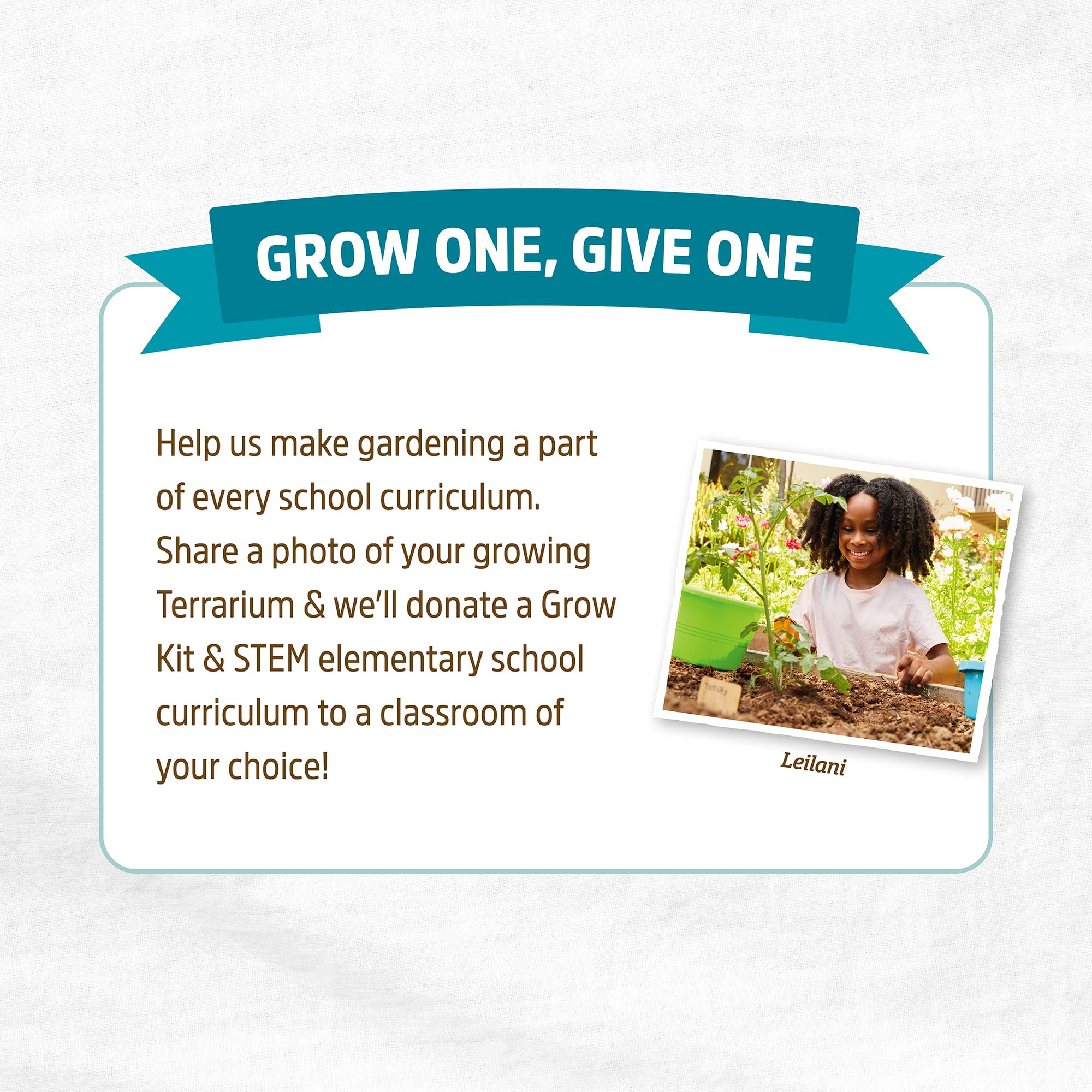 Back to the Roots Terrarium Grow Kit - Easy-to-Use DIY Set for All Ages Small - Image 8