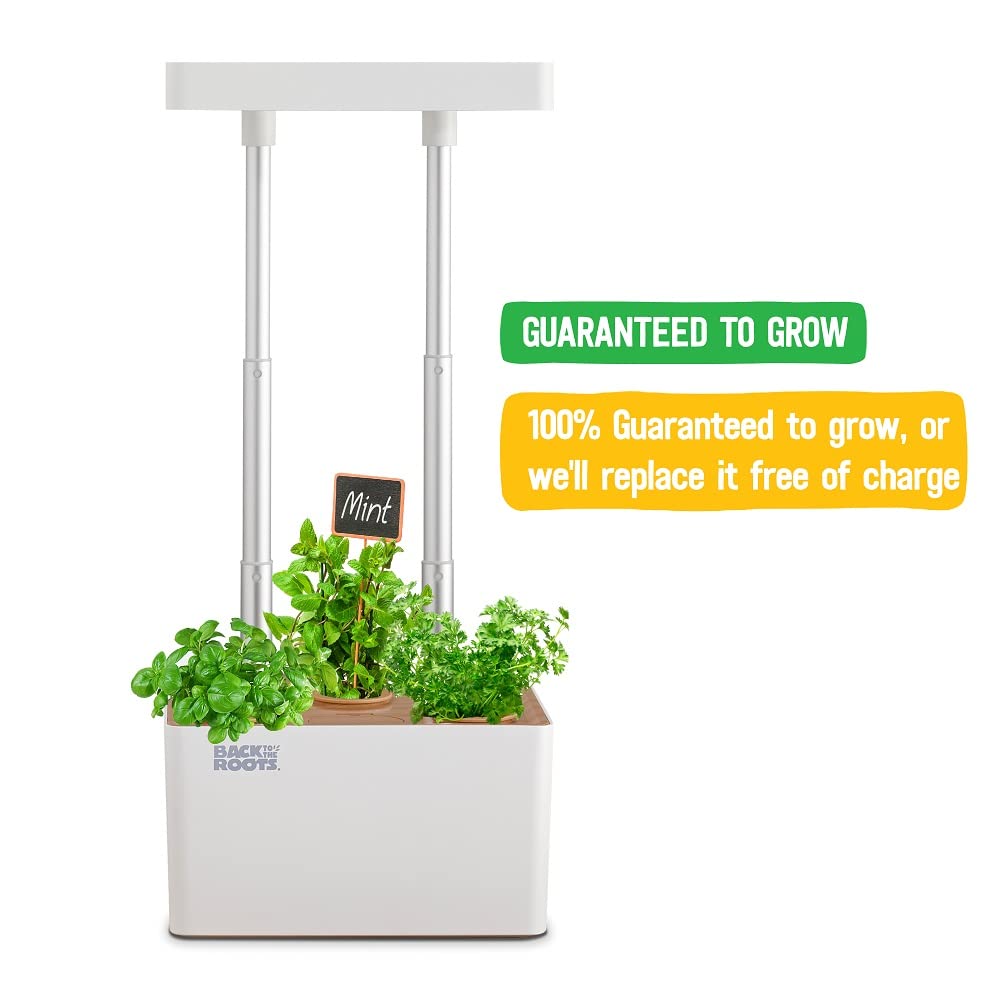 Back to the Roots v1.0 Hydroponic Grow Kit, 2022 Model - Image 4