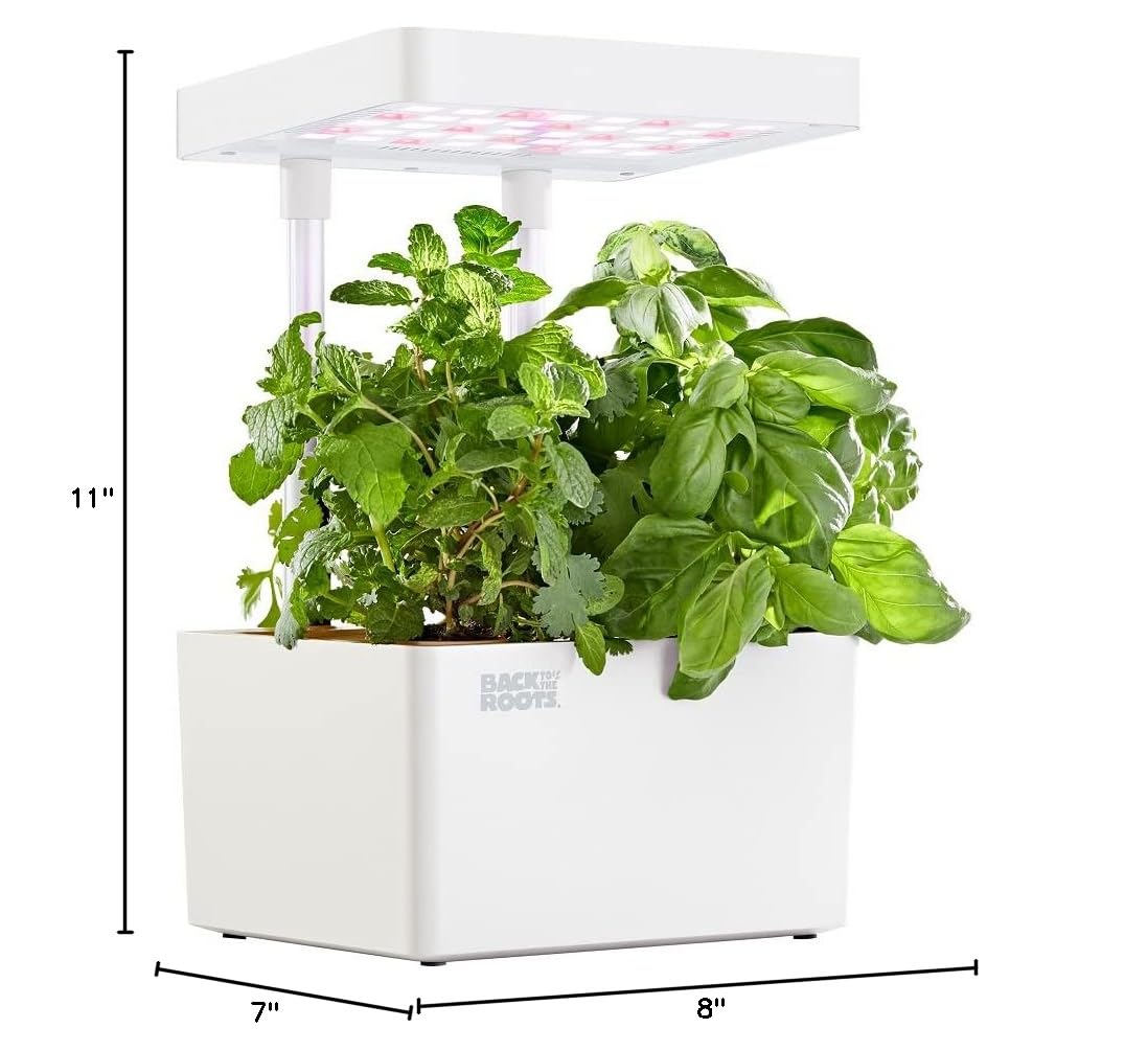Back to the Roots v1.0 Hydroponic Grow Kit, 2022 Model - Image 5